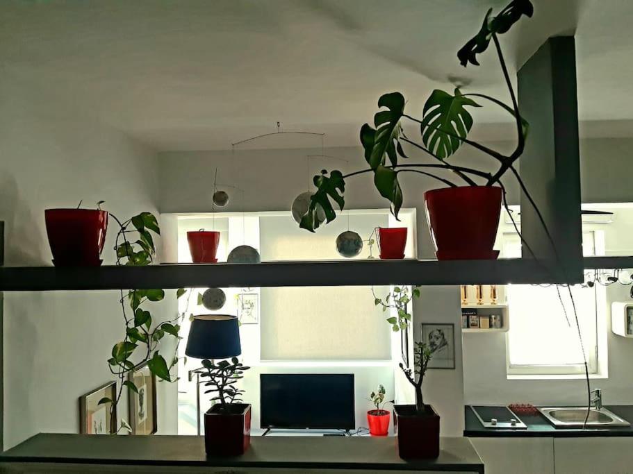 Lovely apartment close to the sea