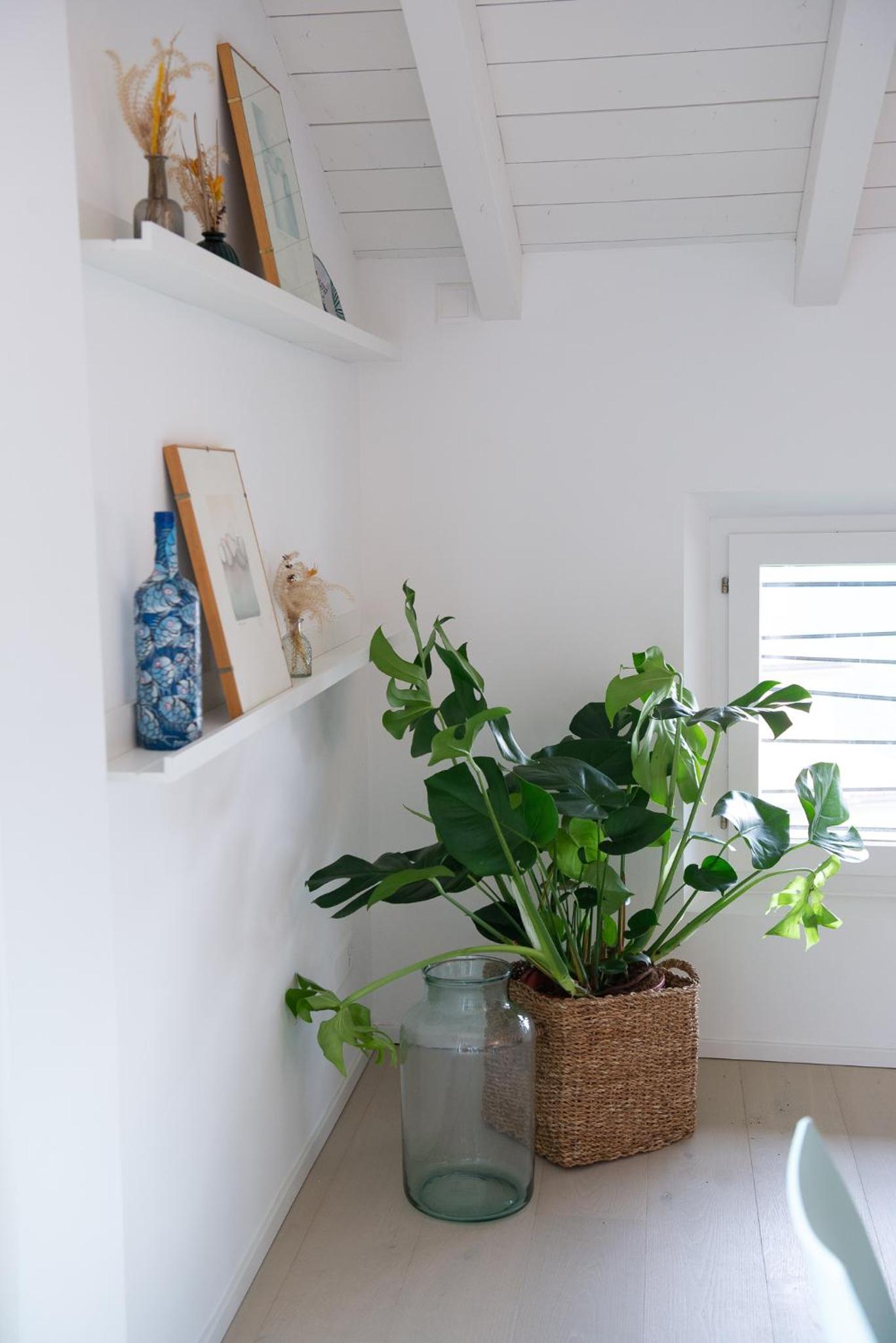 THE LOFT