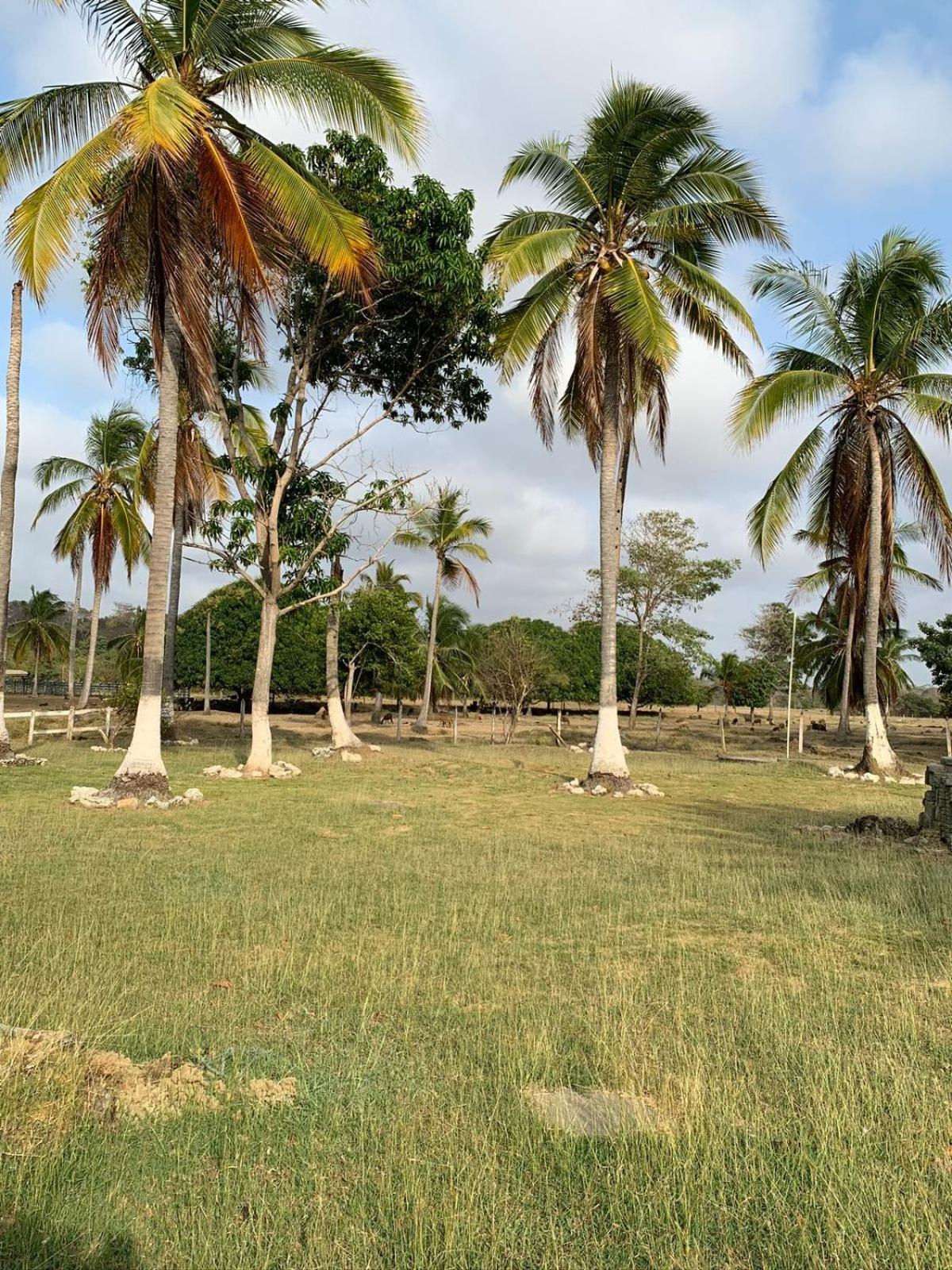 CABAÑA SAN BERNARDO DEL VIENTO