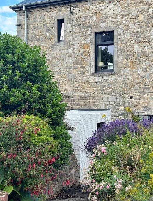 Maison Comtale