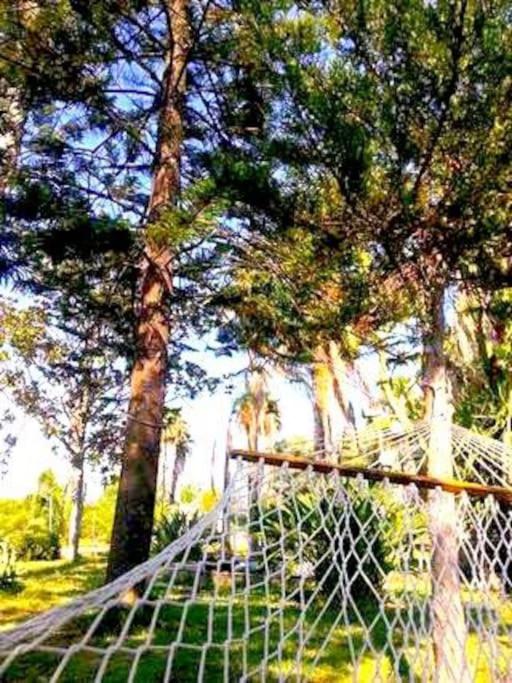Villa California