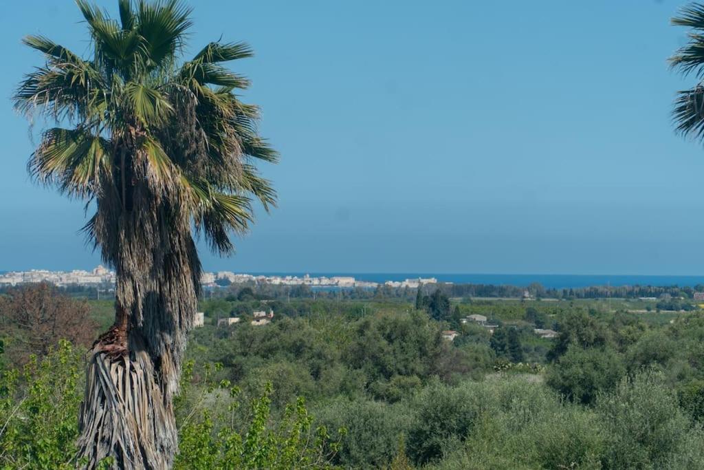 Villa California