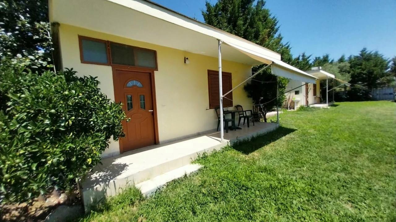Holiday House