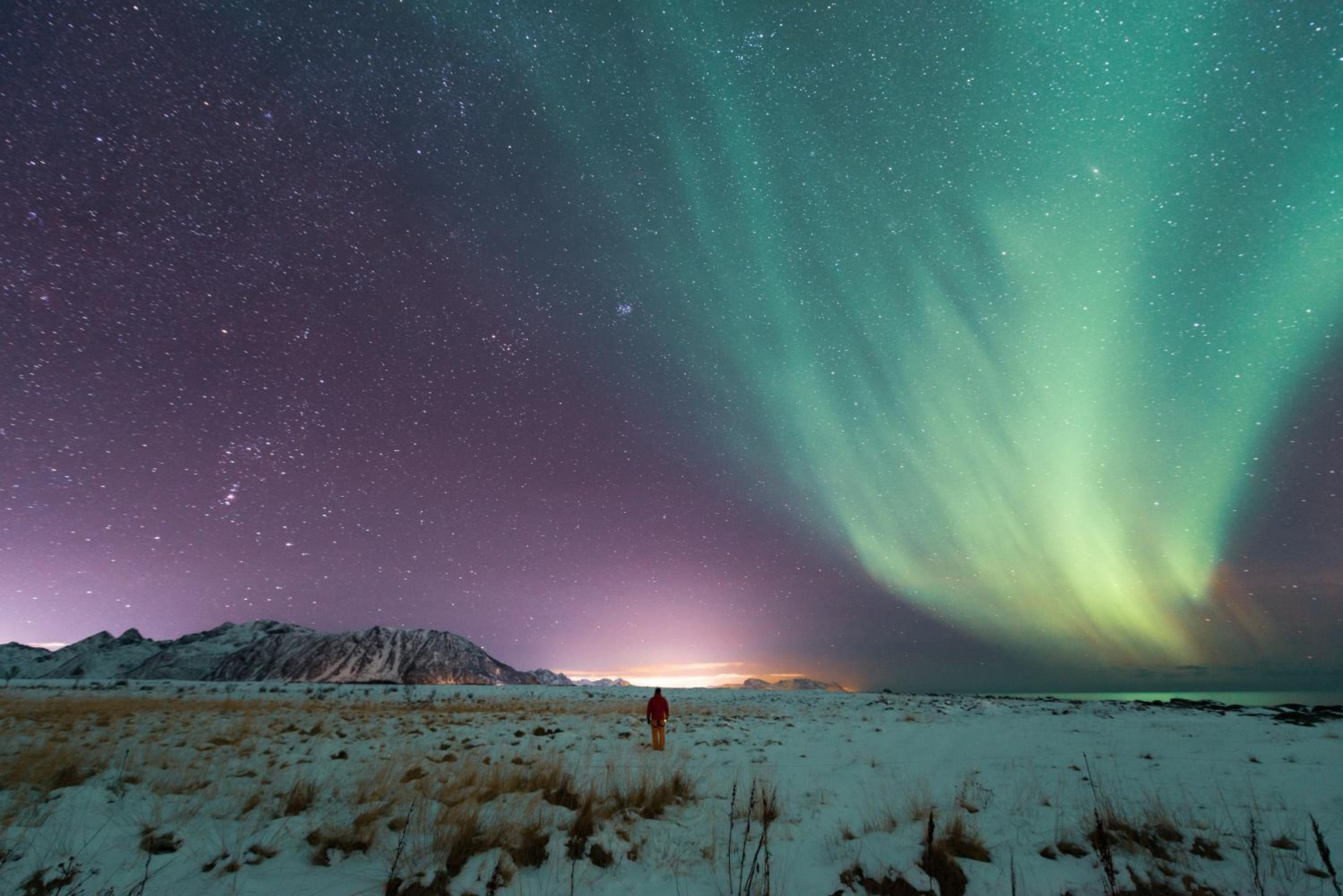 Lofoten Green Studio