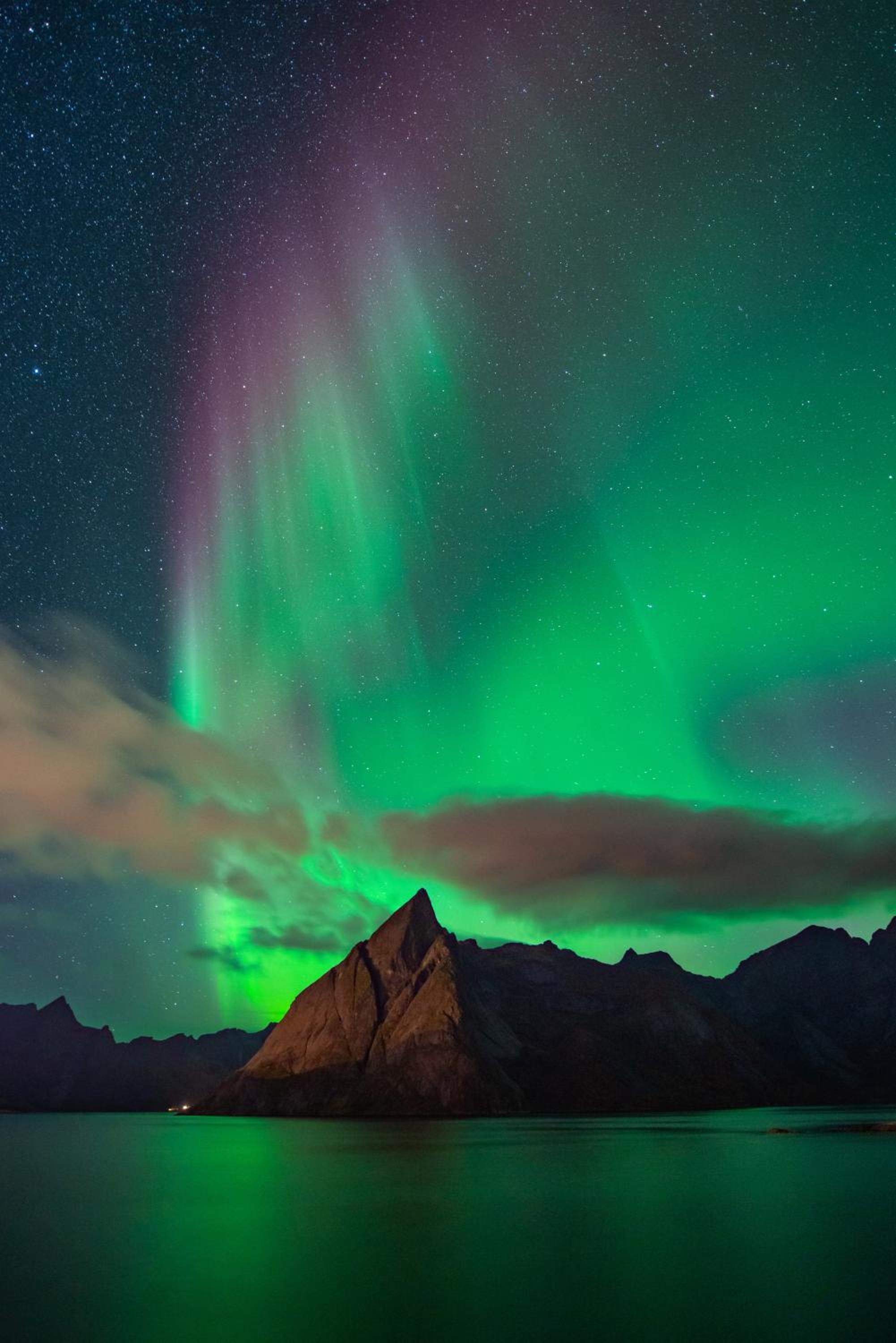 Lofoten Green Studio
