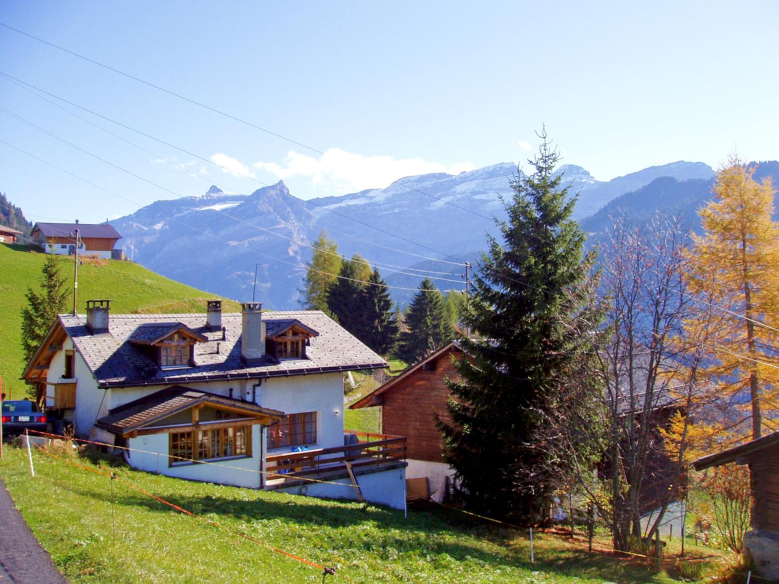 Les Hirondelles, cosy apartment with a magnificent view on the mountains