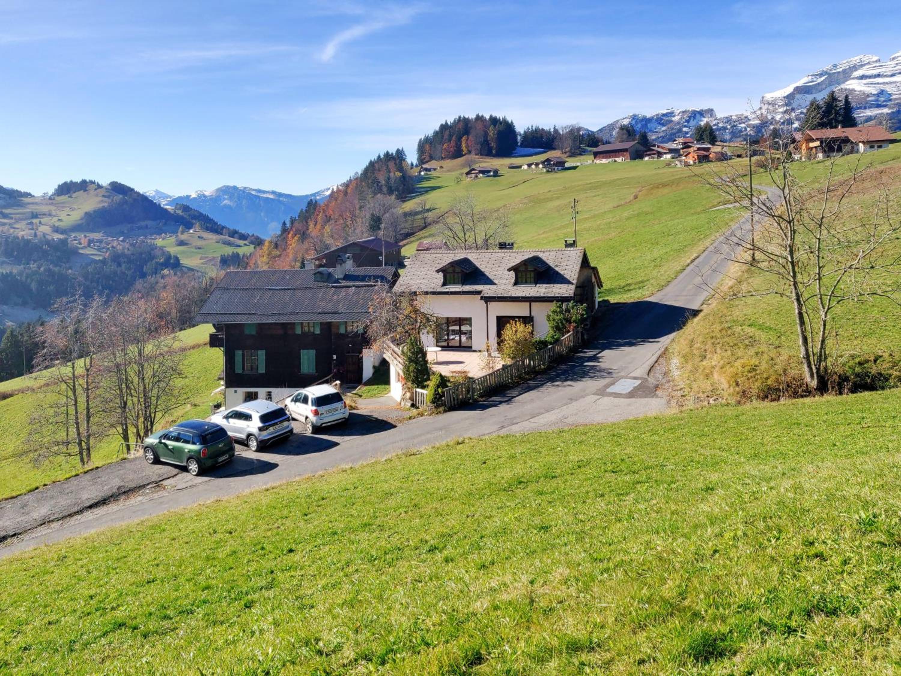 Les Hirondelles, cosy apartment with a magnificent view on the mountains