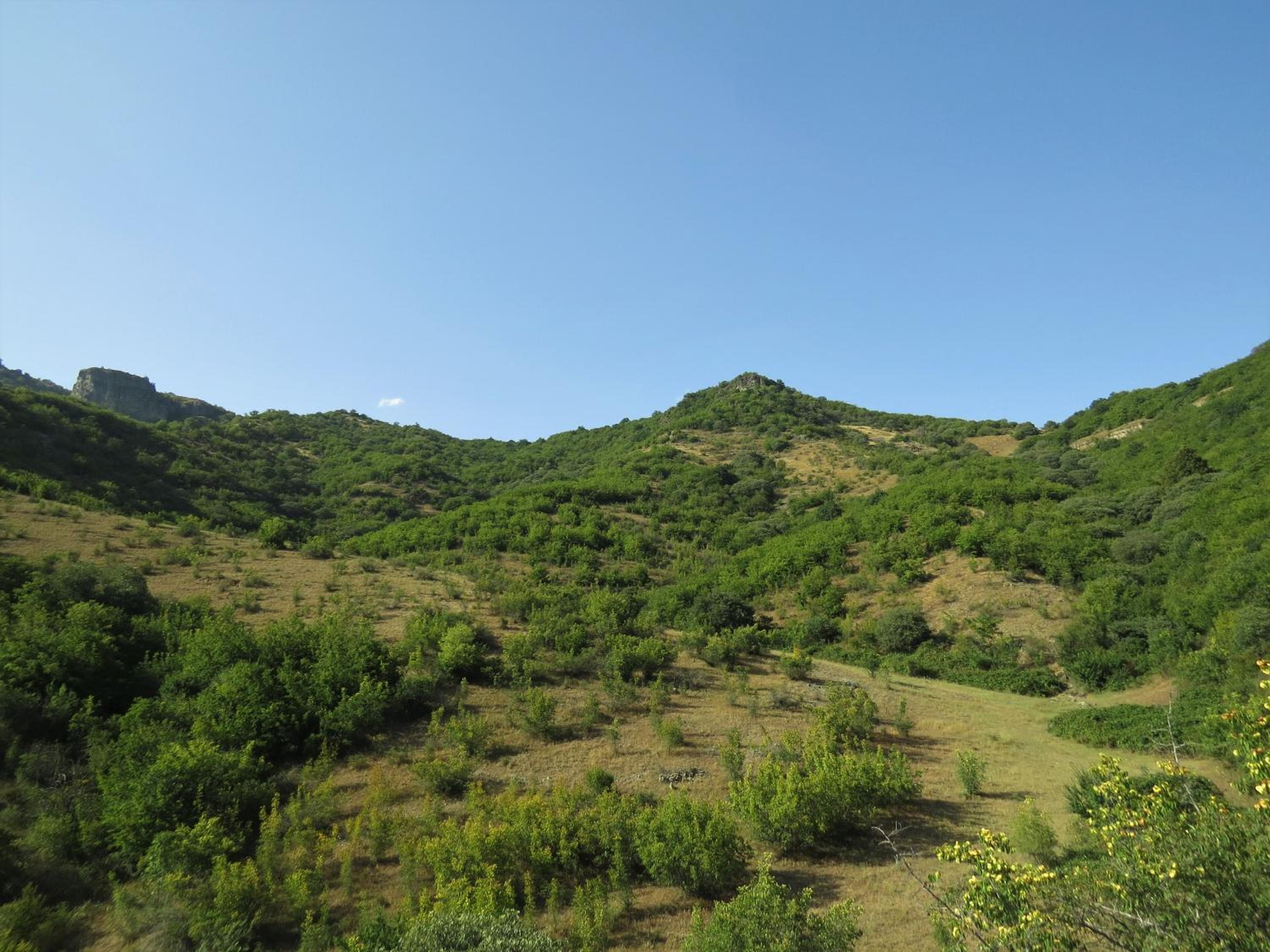Green Camp eco-rural and civil society tourism center