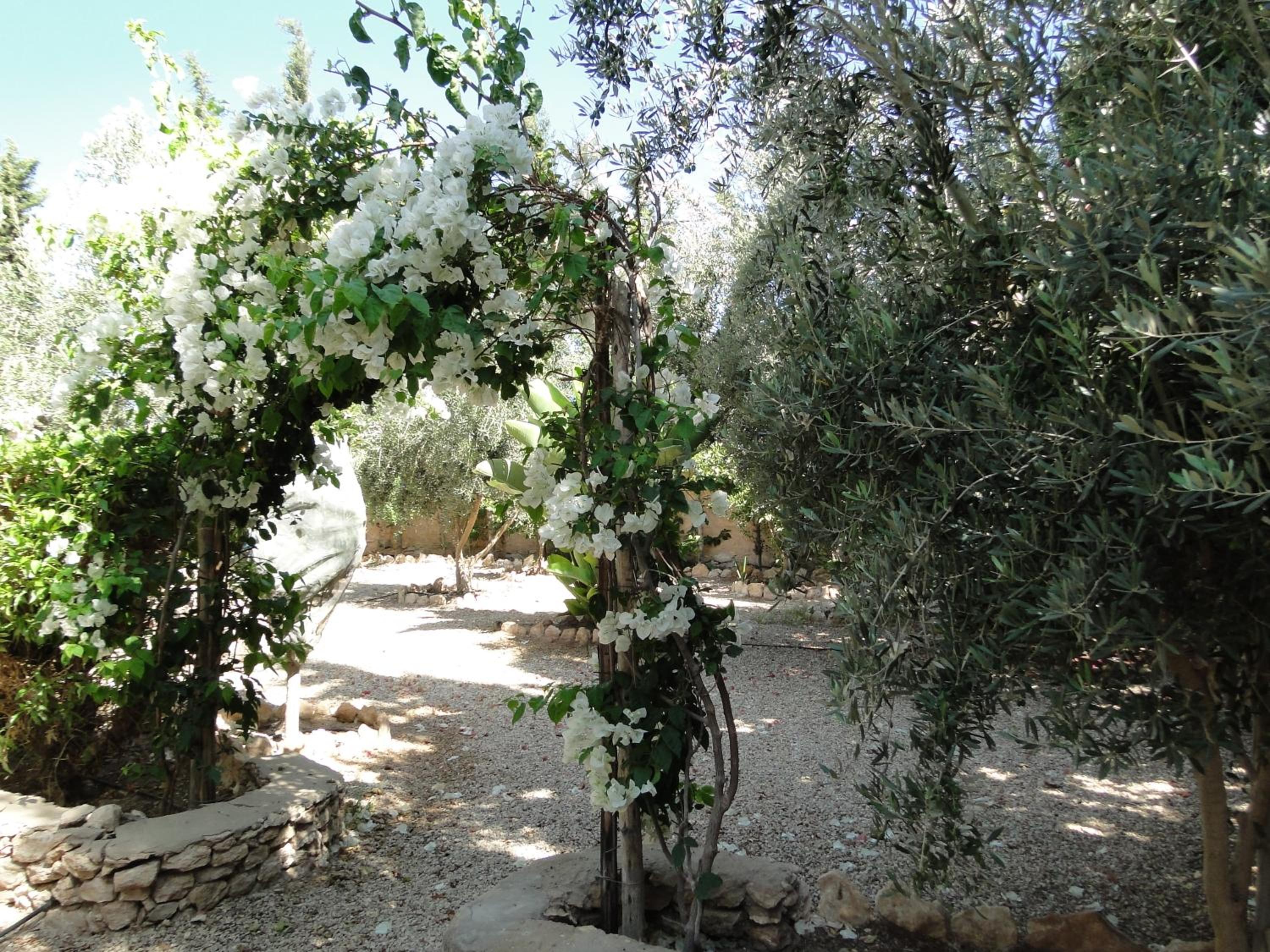 Photo 24