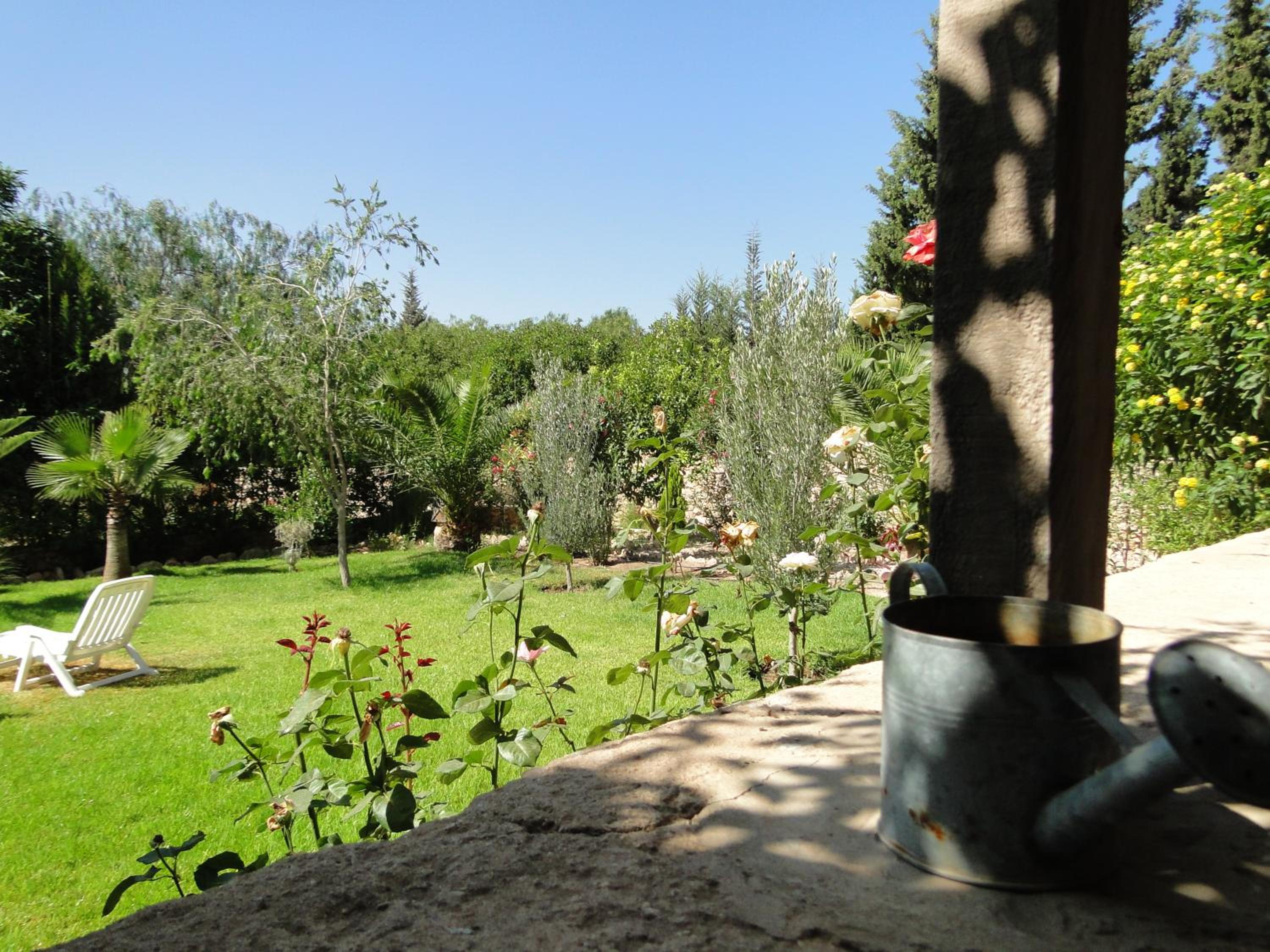 Photo 6