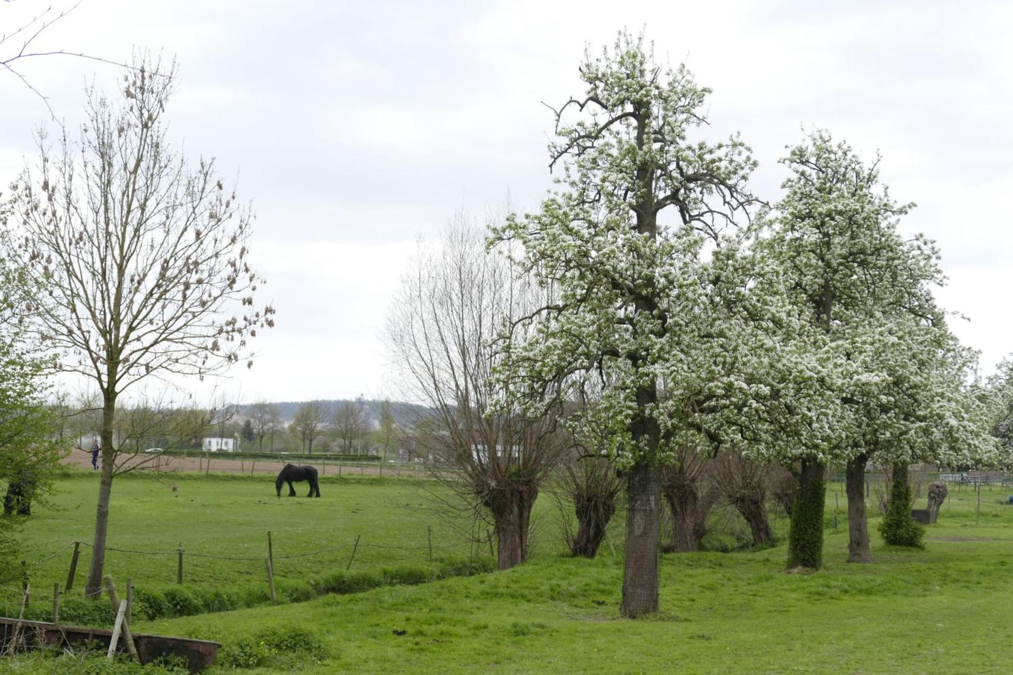 Meschermolen, overnachten in de schuur, photo 22