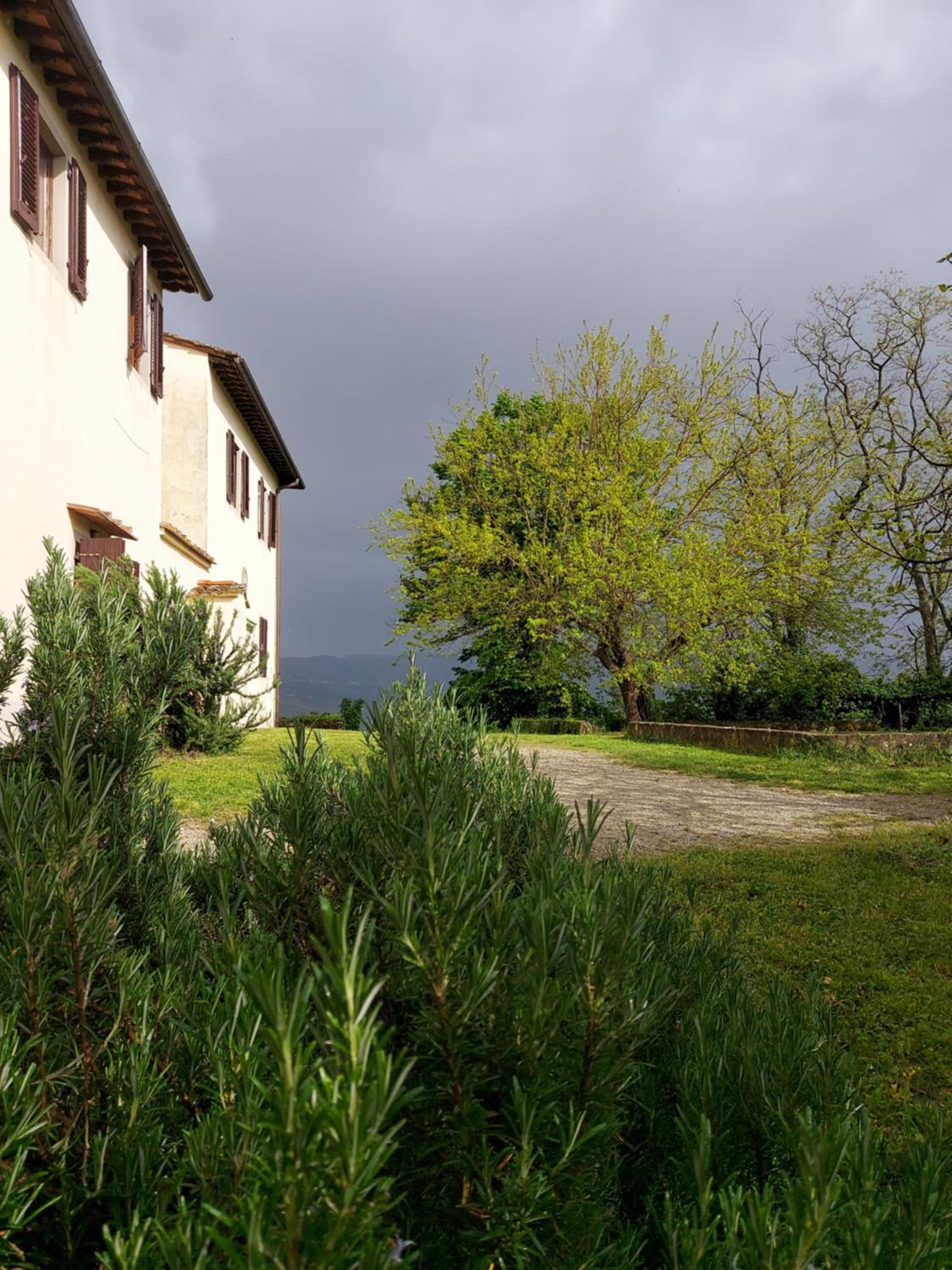 Photo 35