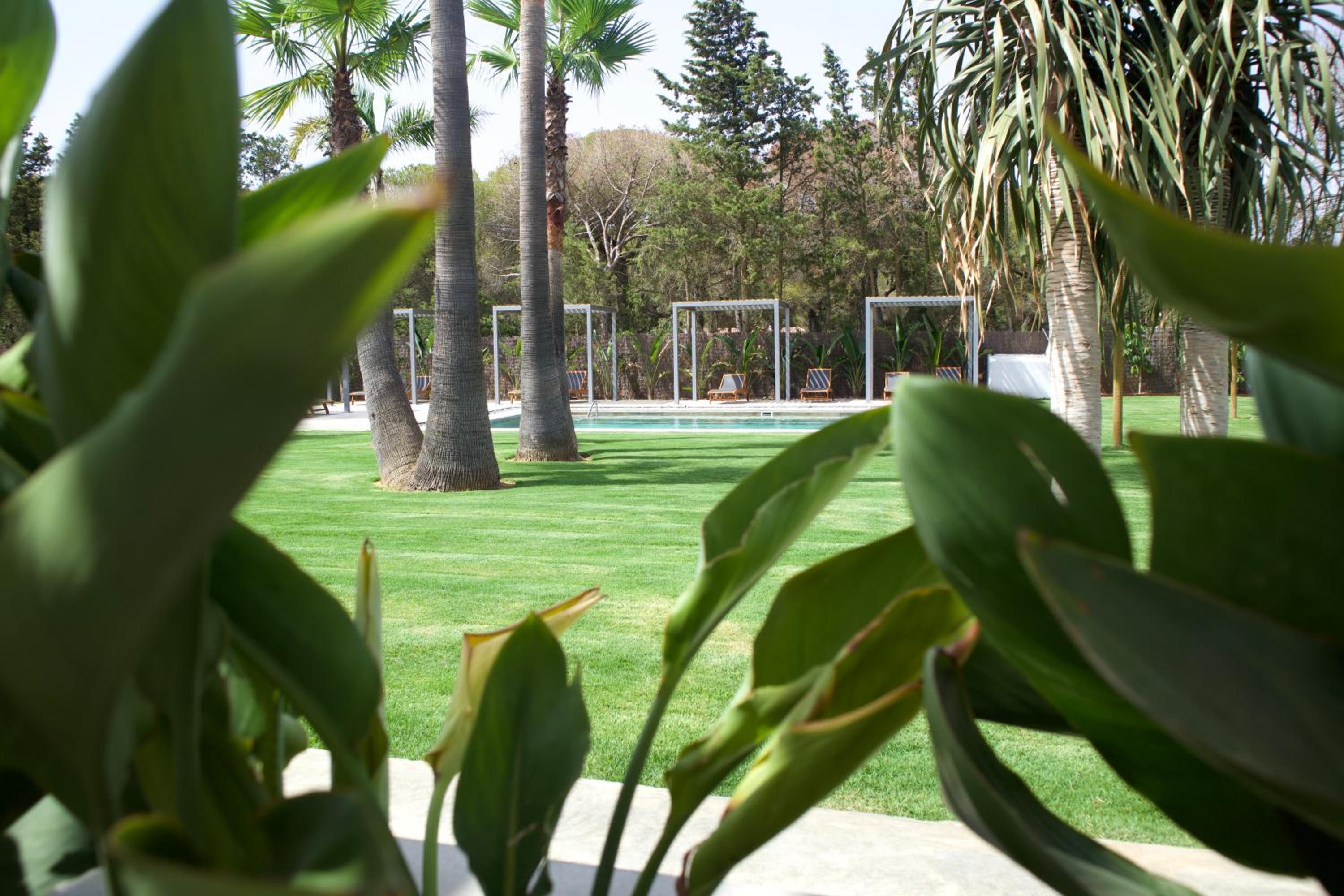 Alojamiento rural FINCA AZUCENA SUITE only adults