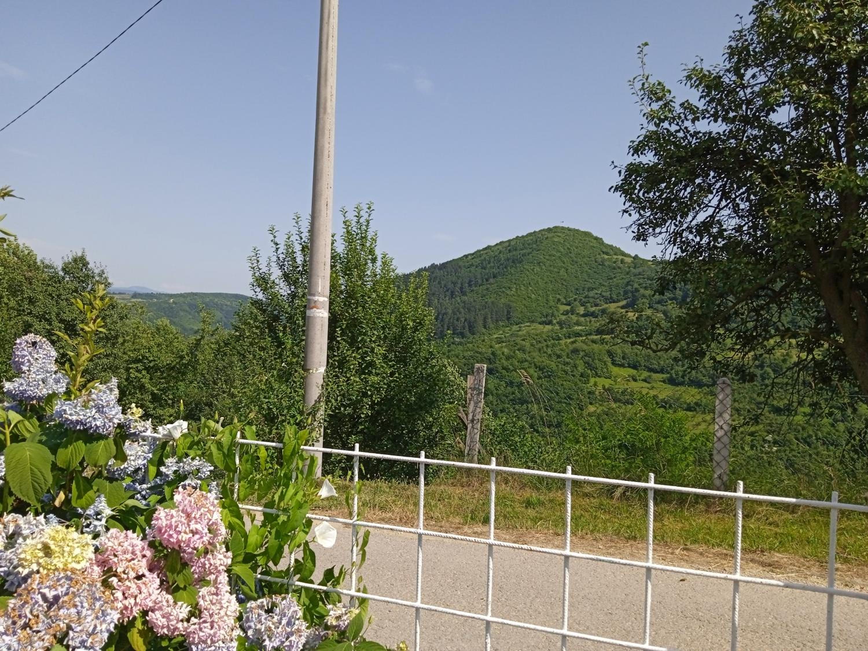 Subaša