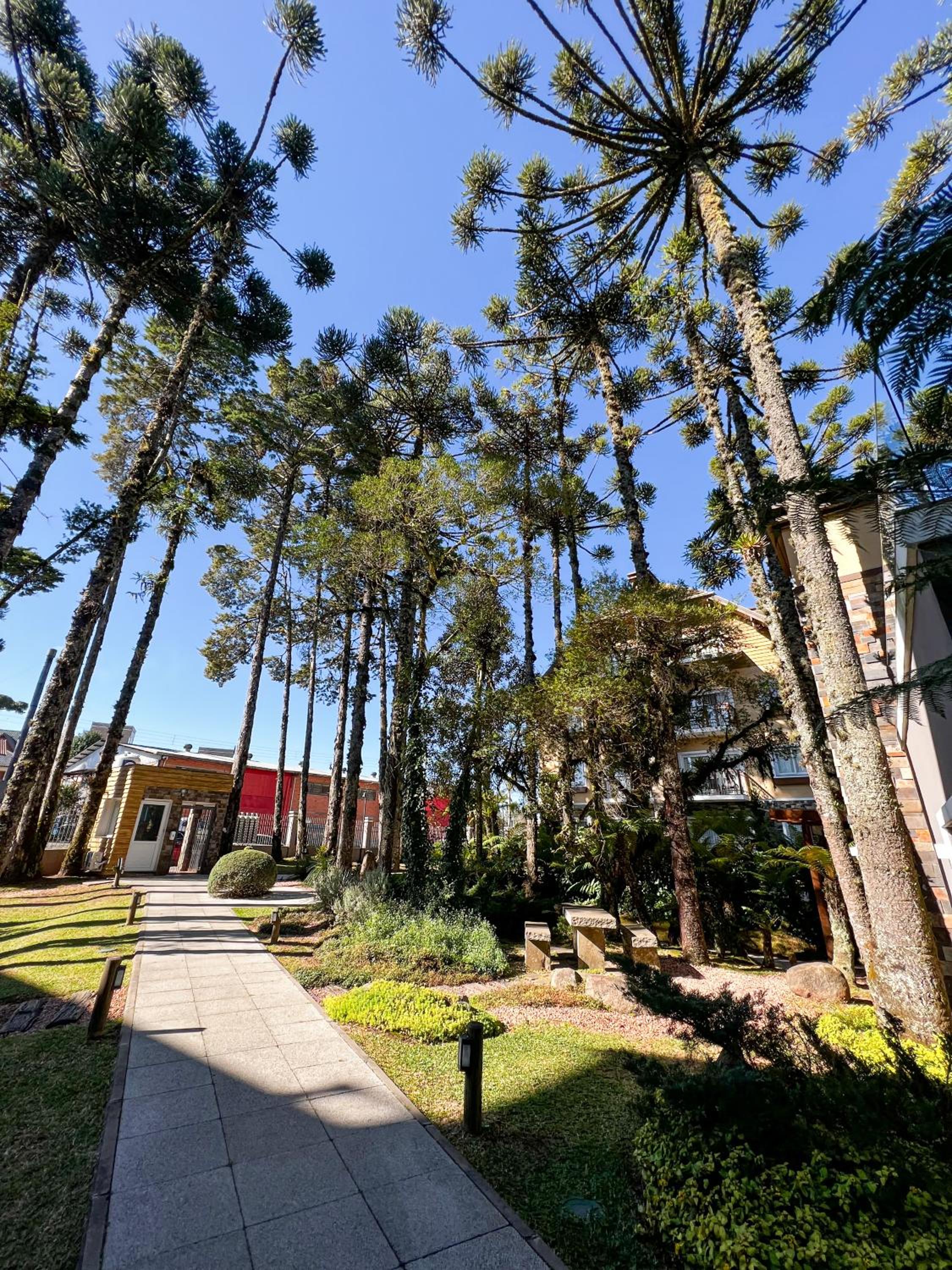 Apto moderno com lareira, piscina aquecida e infra completo em Gramado