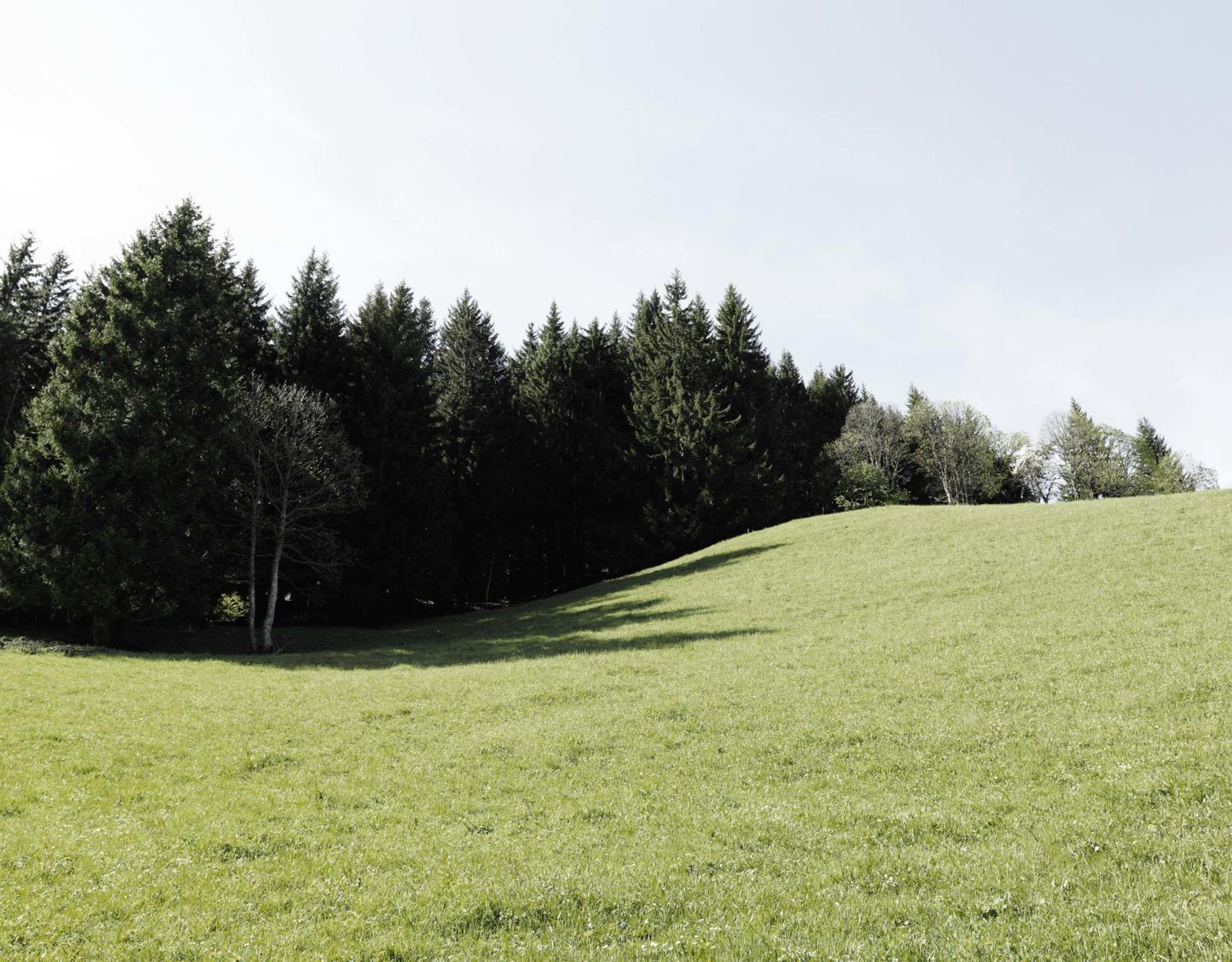 Das Hochkönig