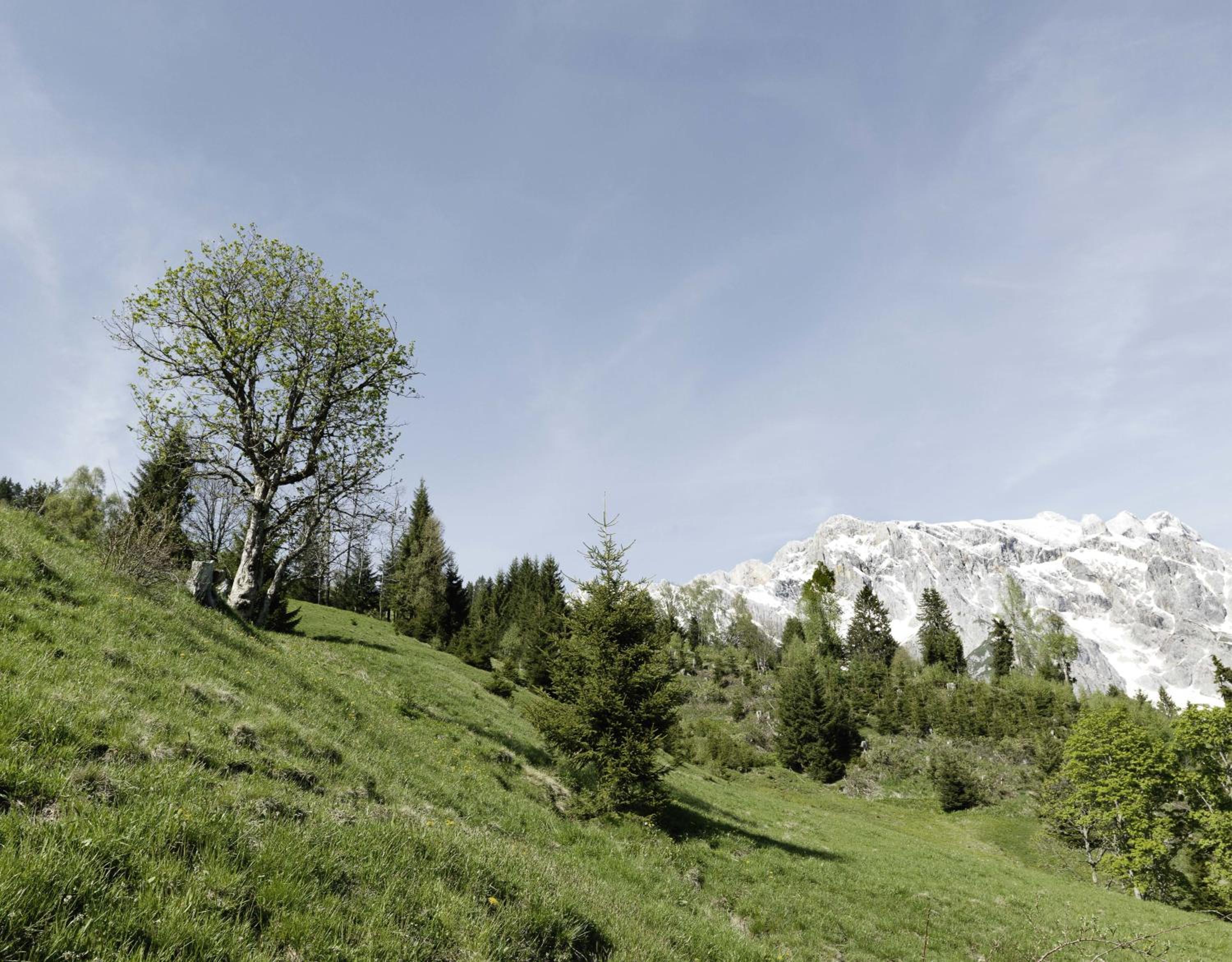 Das Hochkönig