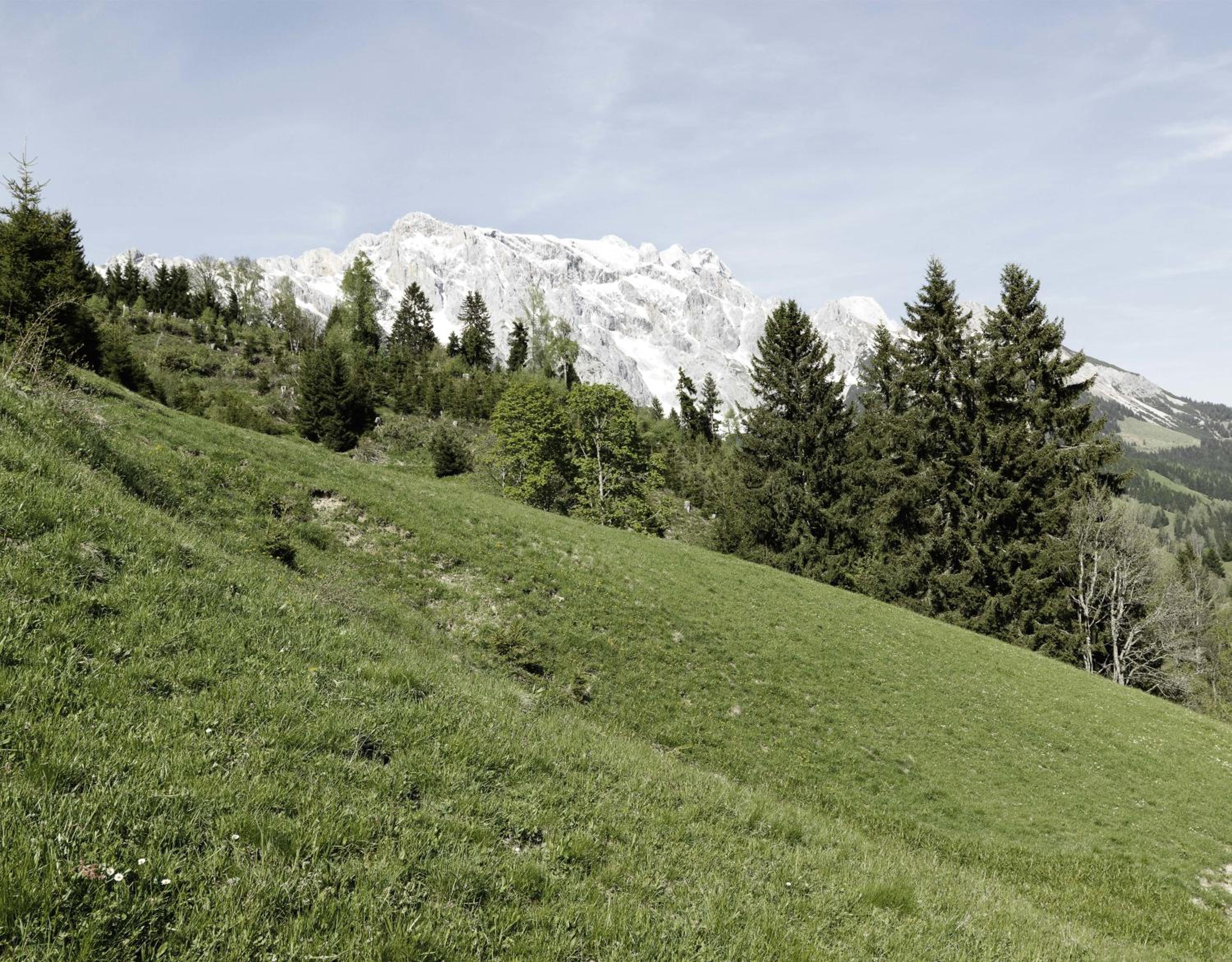 Das Hochkönig