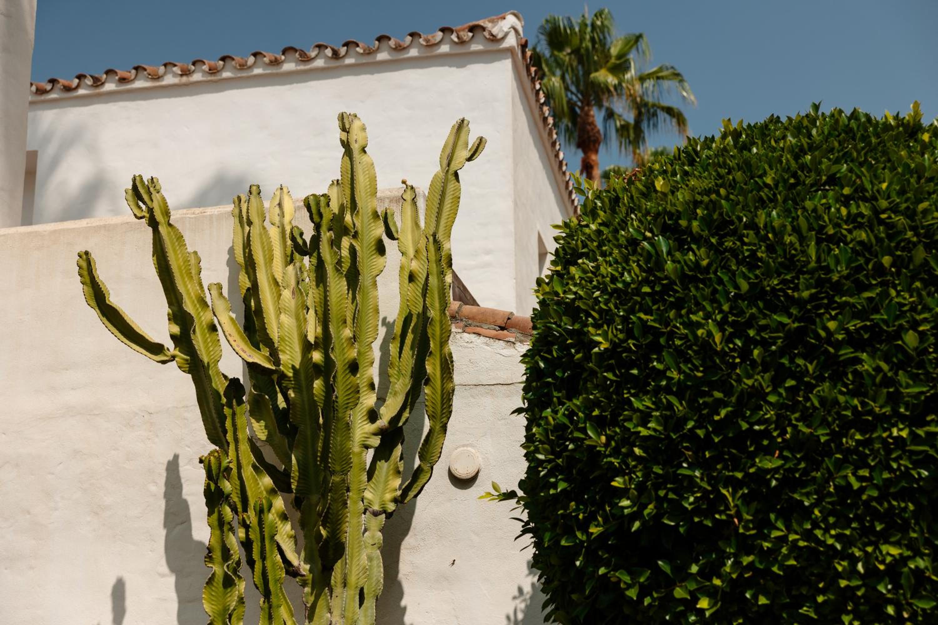 Marbella Vacations - Holiday apartment in first line beach complex in Urbanization Pueblo Mediterraneo, Marbella - Property Image 23