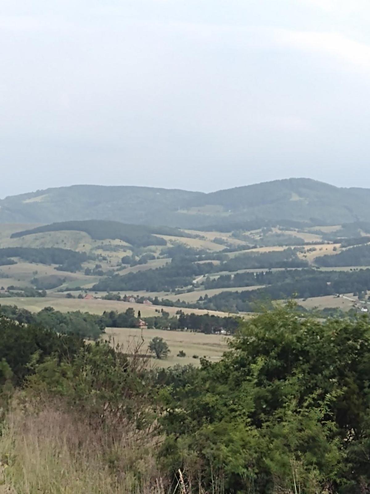 Brvnara GAJ Divčibare
