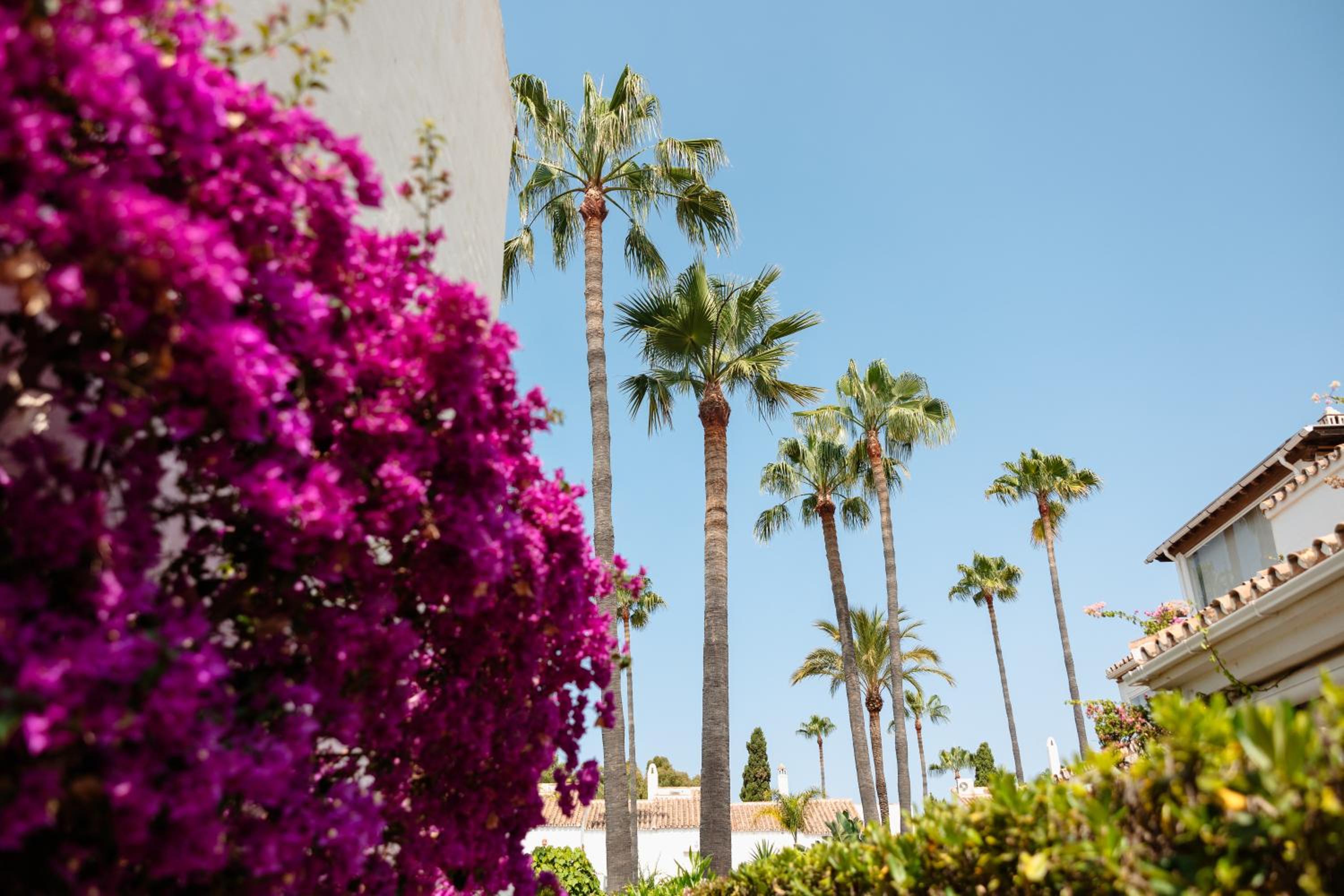 Marbella Vacations - Holiday apartment in first line beach complex in Urbanization Pueblo Mediterraneo, Marbella - Property Image 22