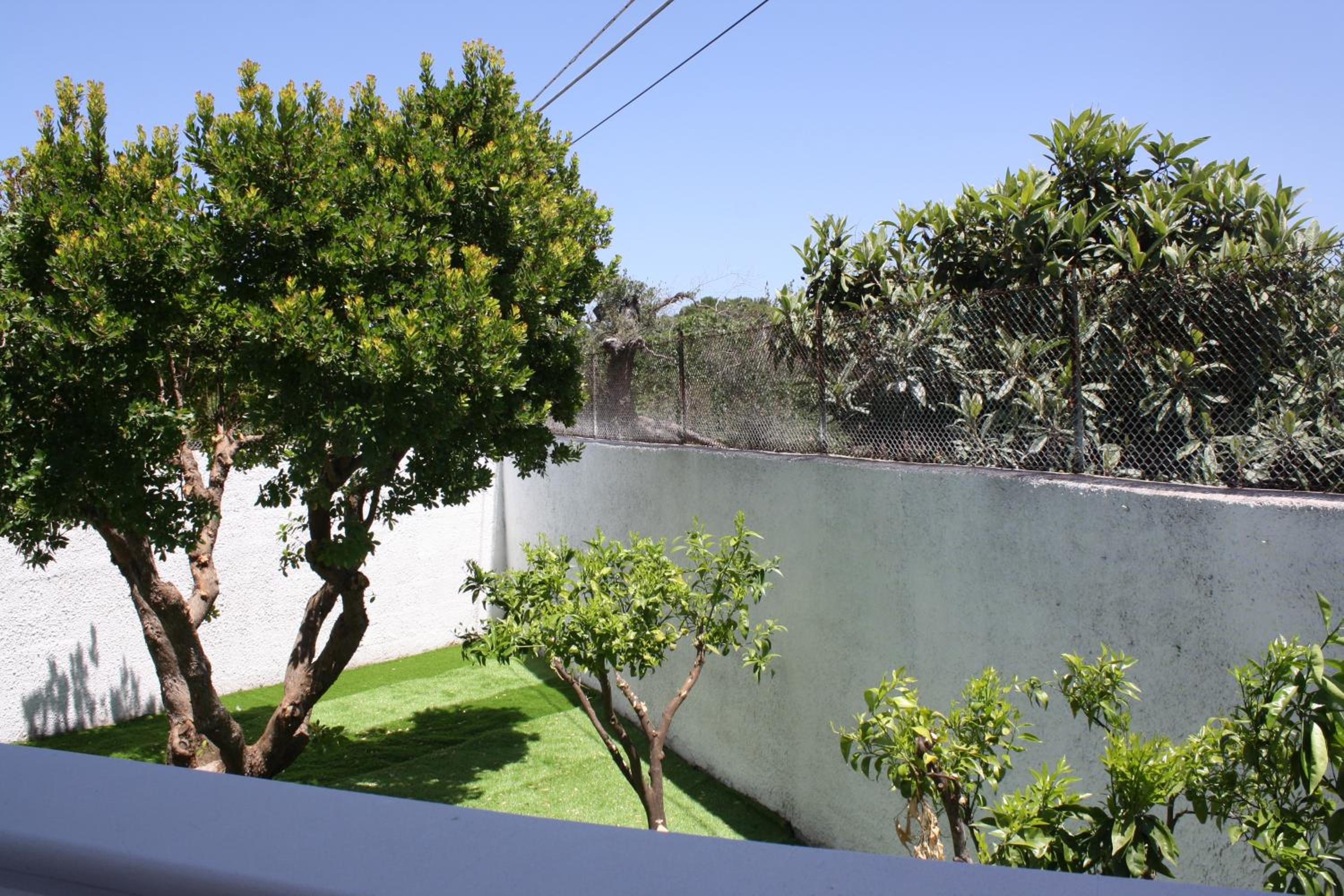 Photo 24