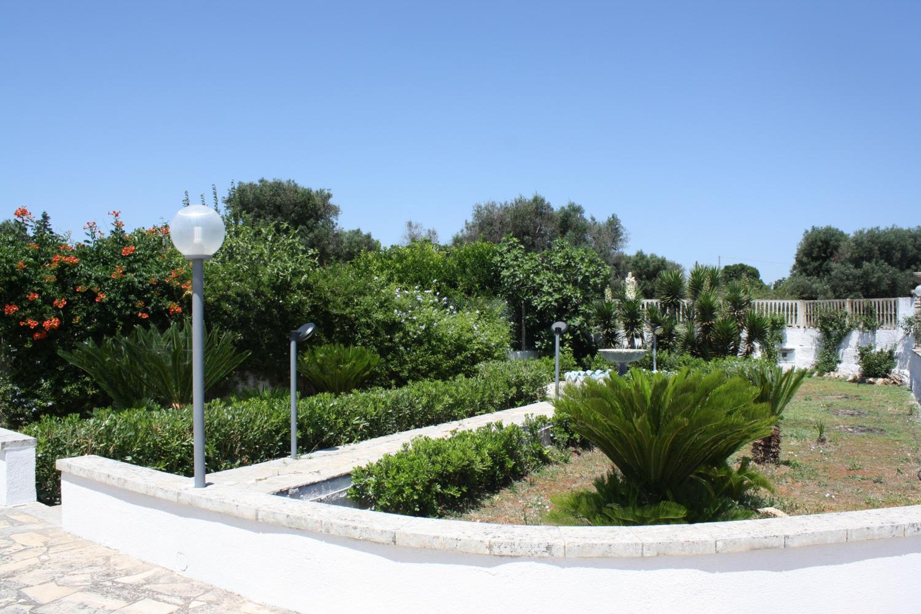 Photo 8