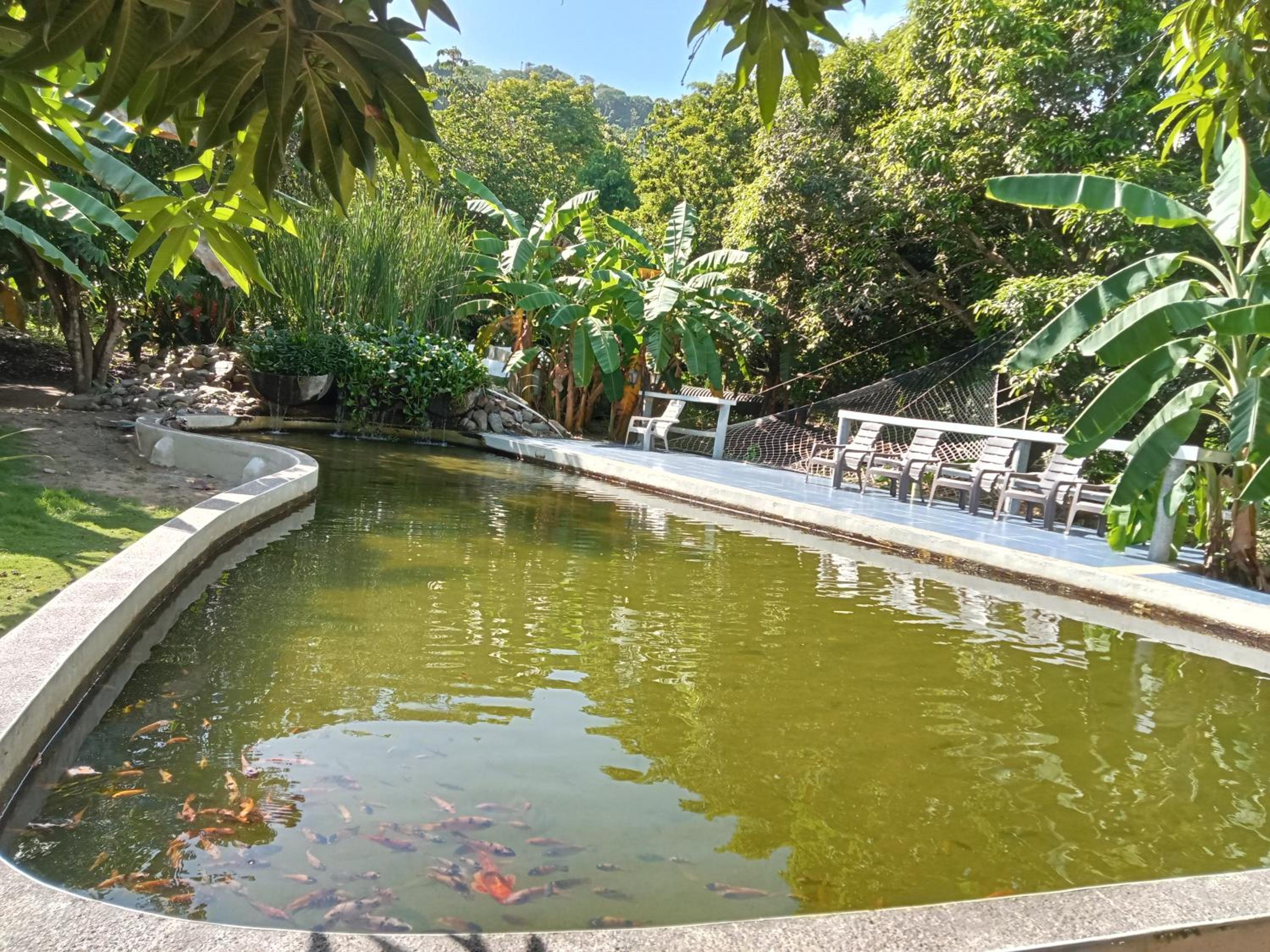 Finca Los Mangos view 4