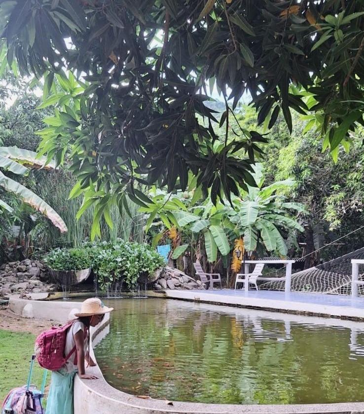 Finca Los Mangos view 3