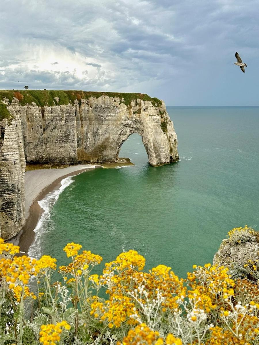 Le Grenier D'Isafil - Property Image 4