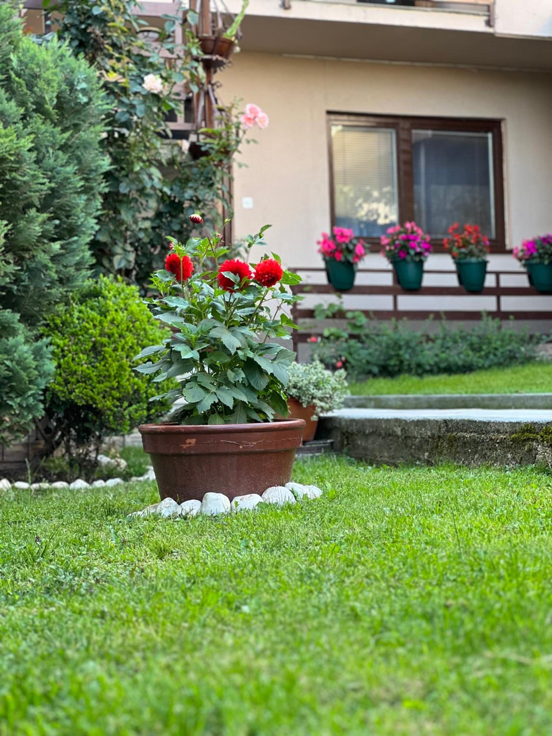 City Centar Apartman
