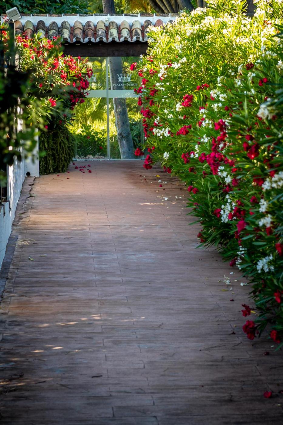 MARBELLA BANUS SUITES - Banus Playas del Duque Beachside Residential