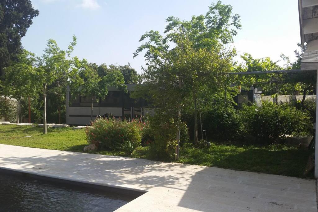 Boutique Bus Savyon, close to Tel Aviv and BG Airport view 2
