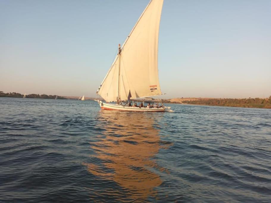 Felucca, lateen sailing boat , to discover the Nile view 2