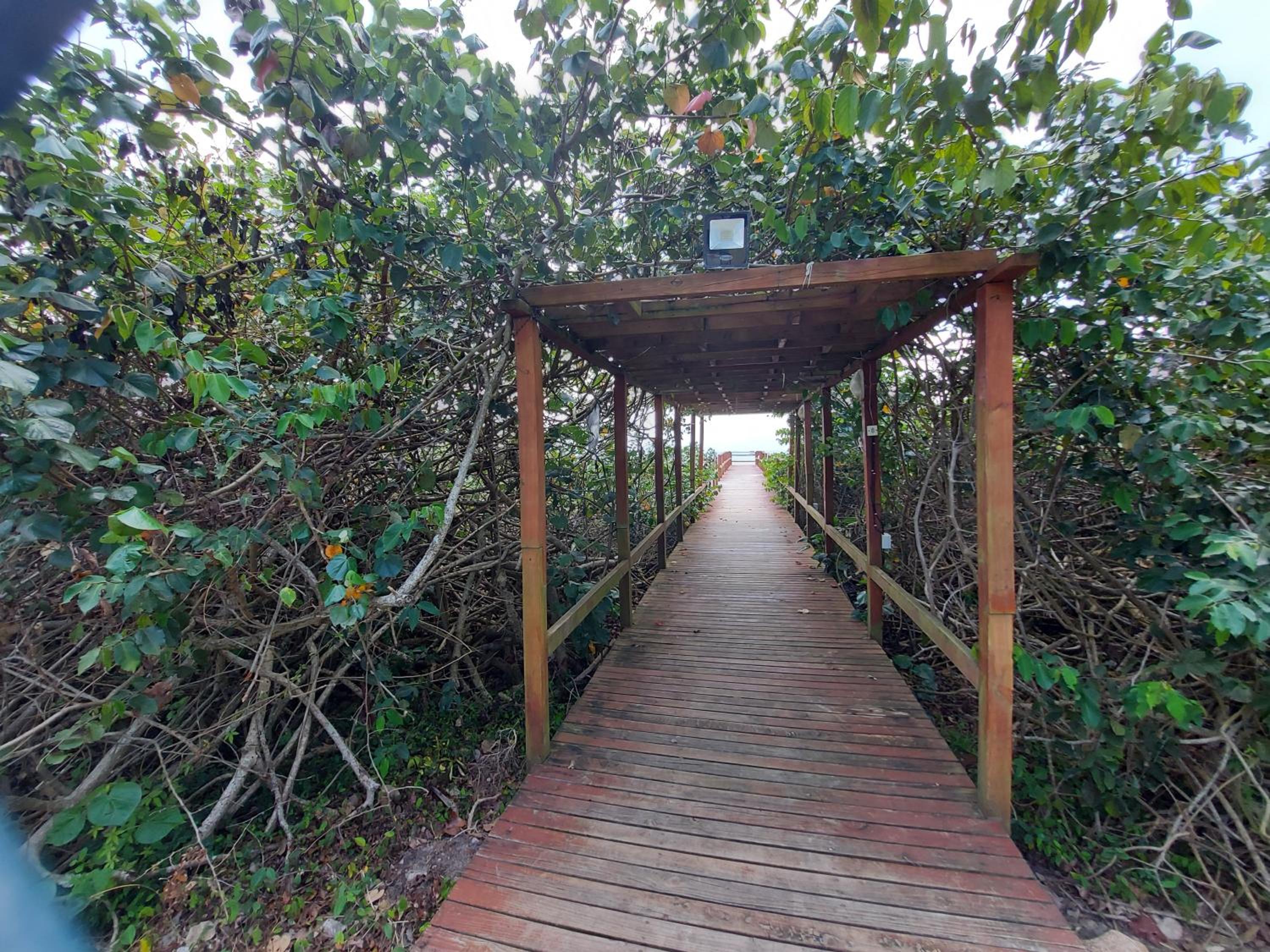 Lindo apartamento com vista para o mar (C142)