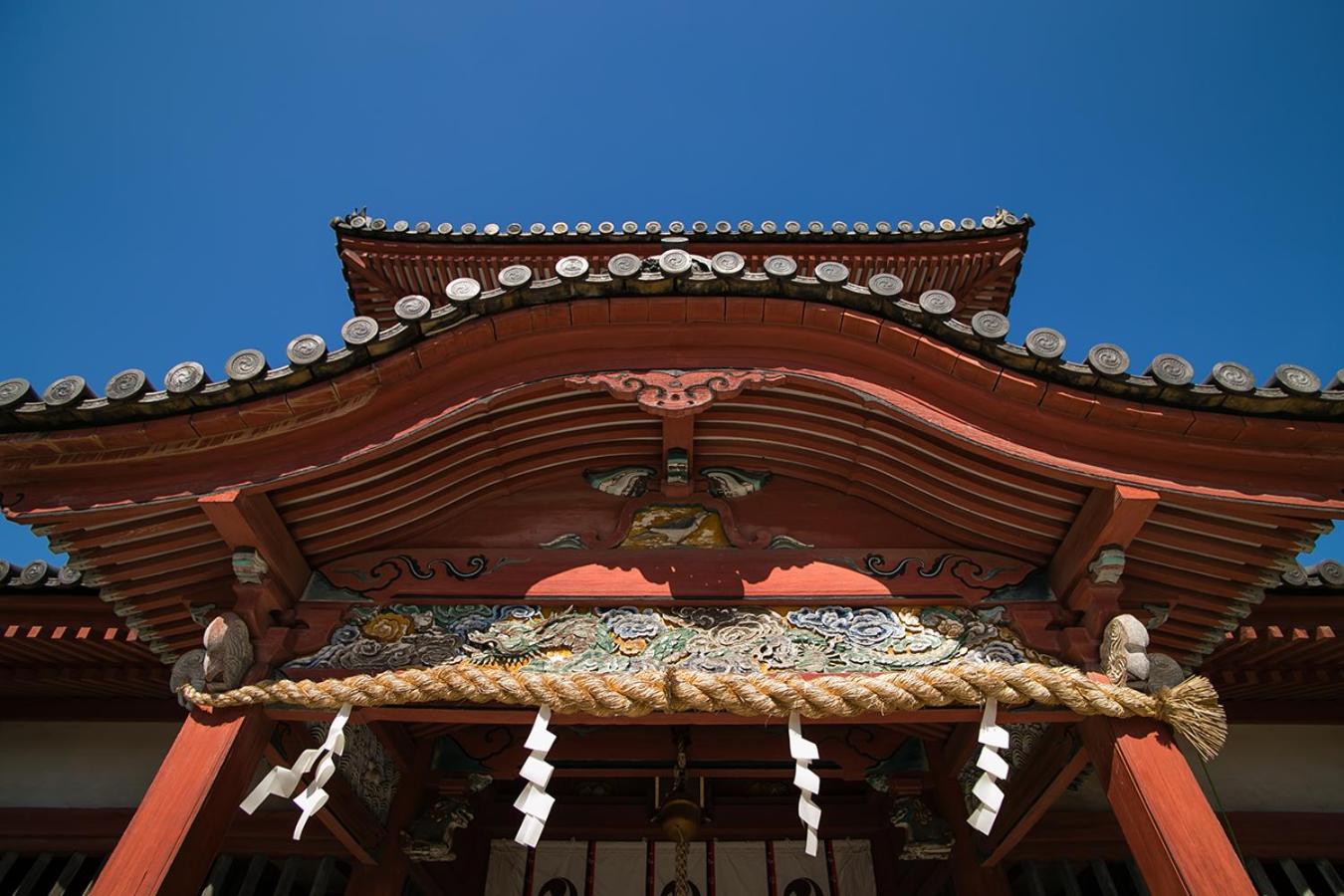 Photo 42