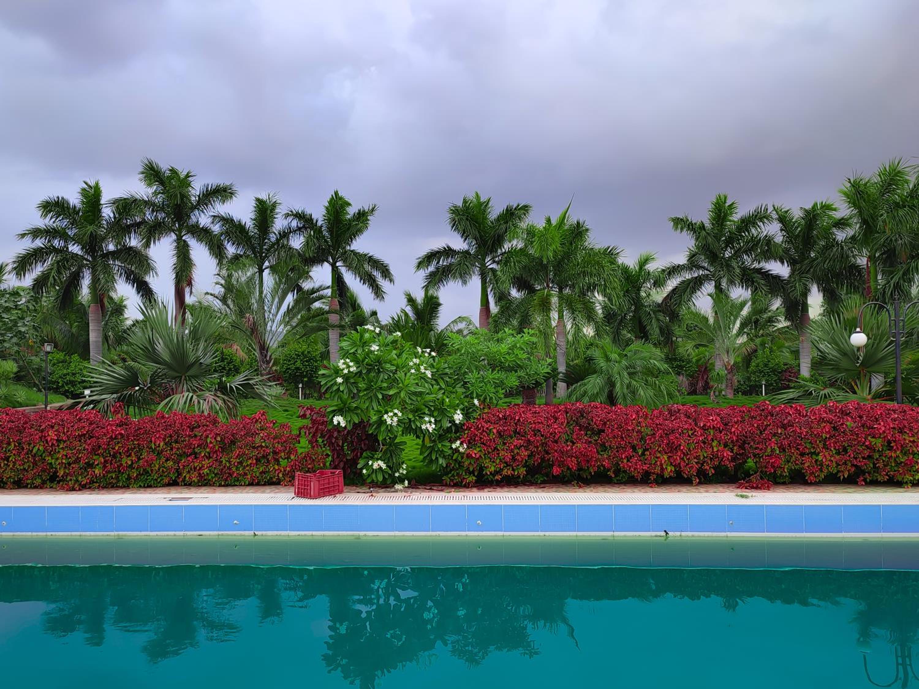 Rajwada Farm Stay view 5