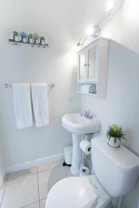 Alma Guest Suite