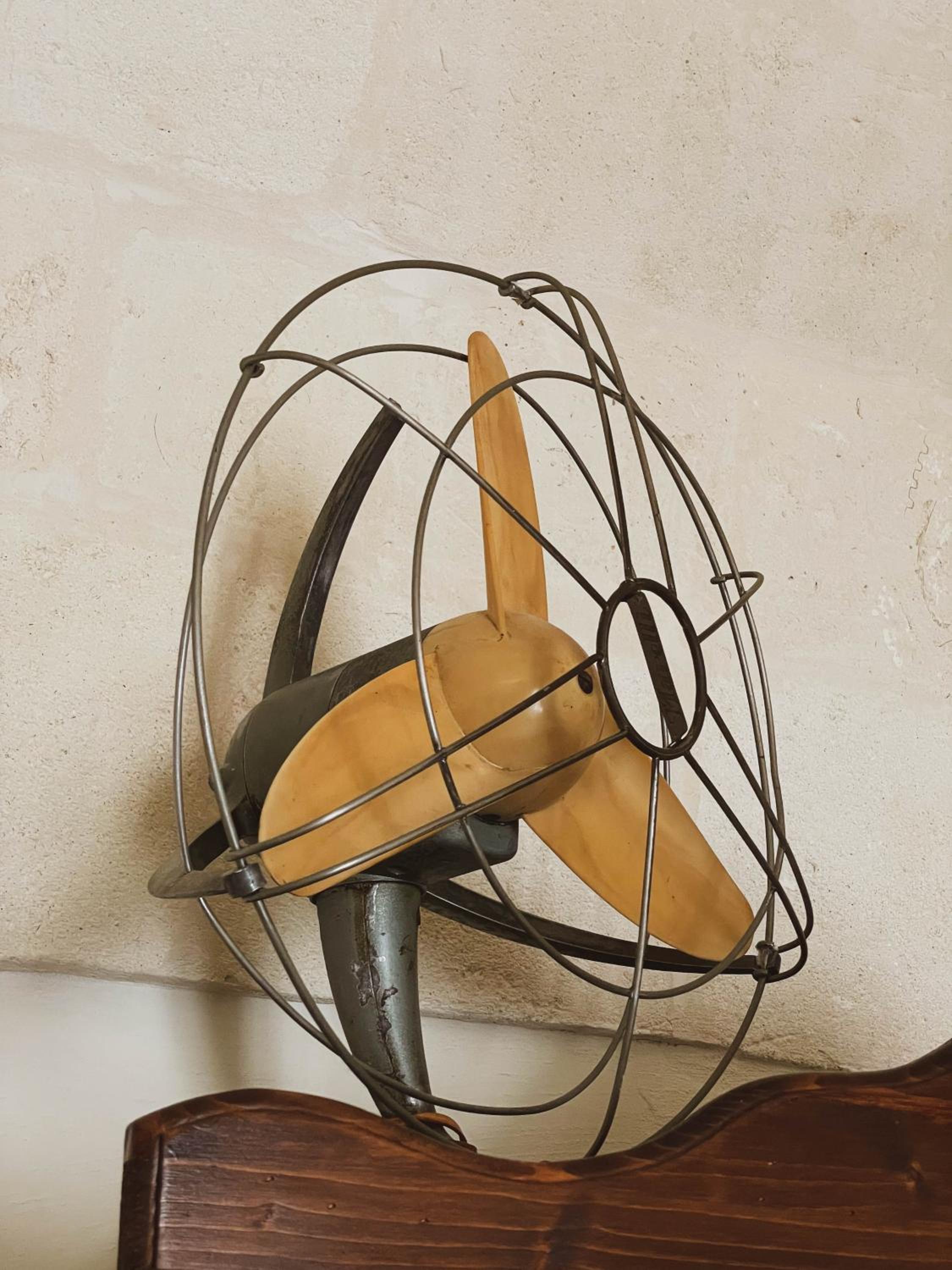 Novecento Room and Breakfast Puglia view 5