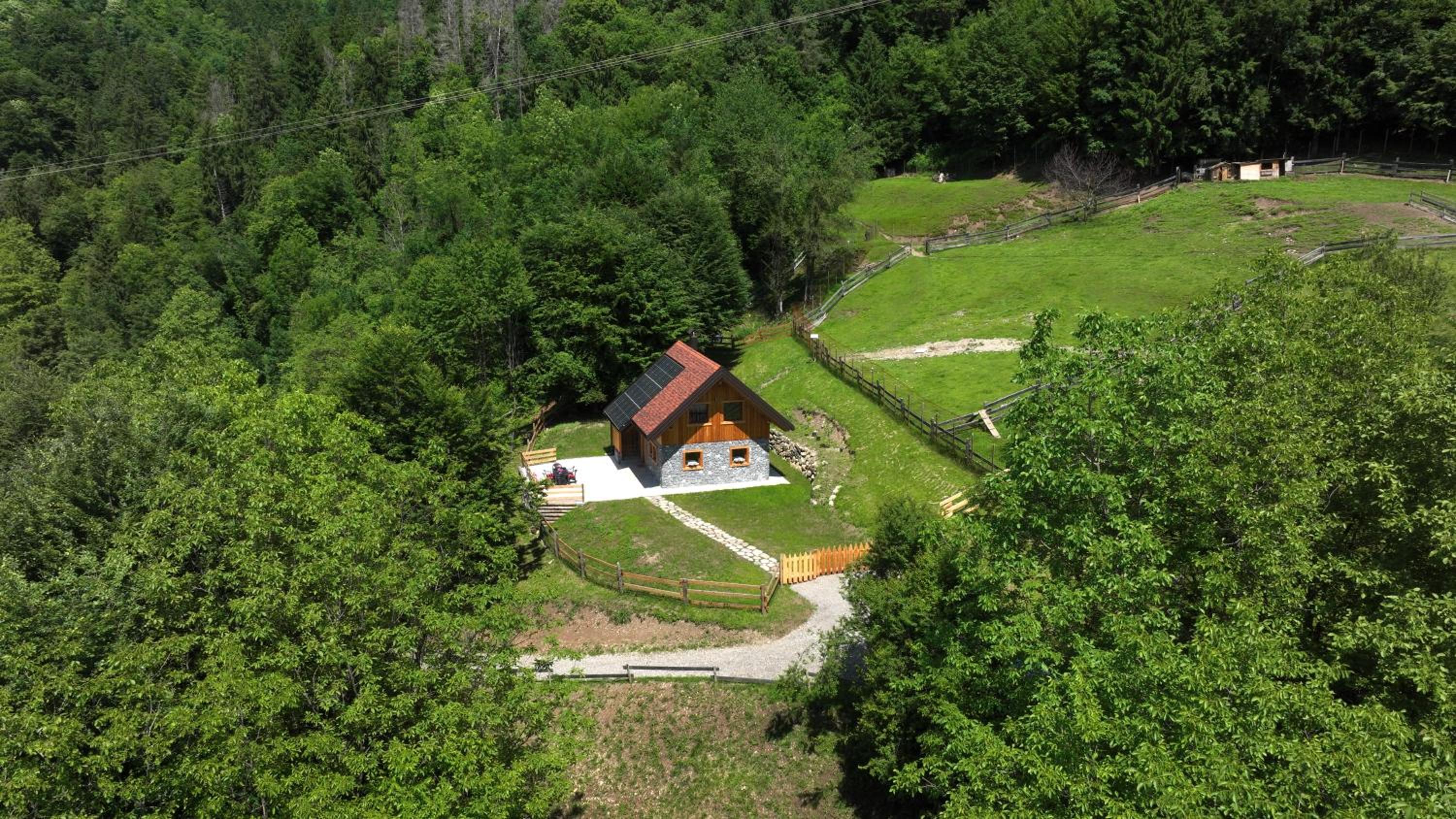 Photo 17