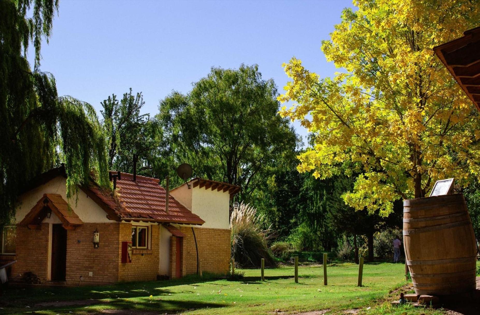 Cabaña en Alta Montaña - Complejo Cabañas del Pastizal - USPALLATA, MENDOZA