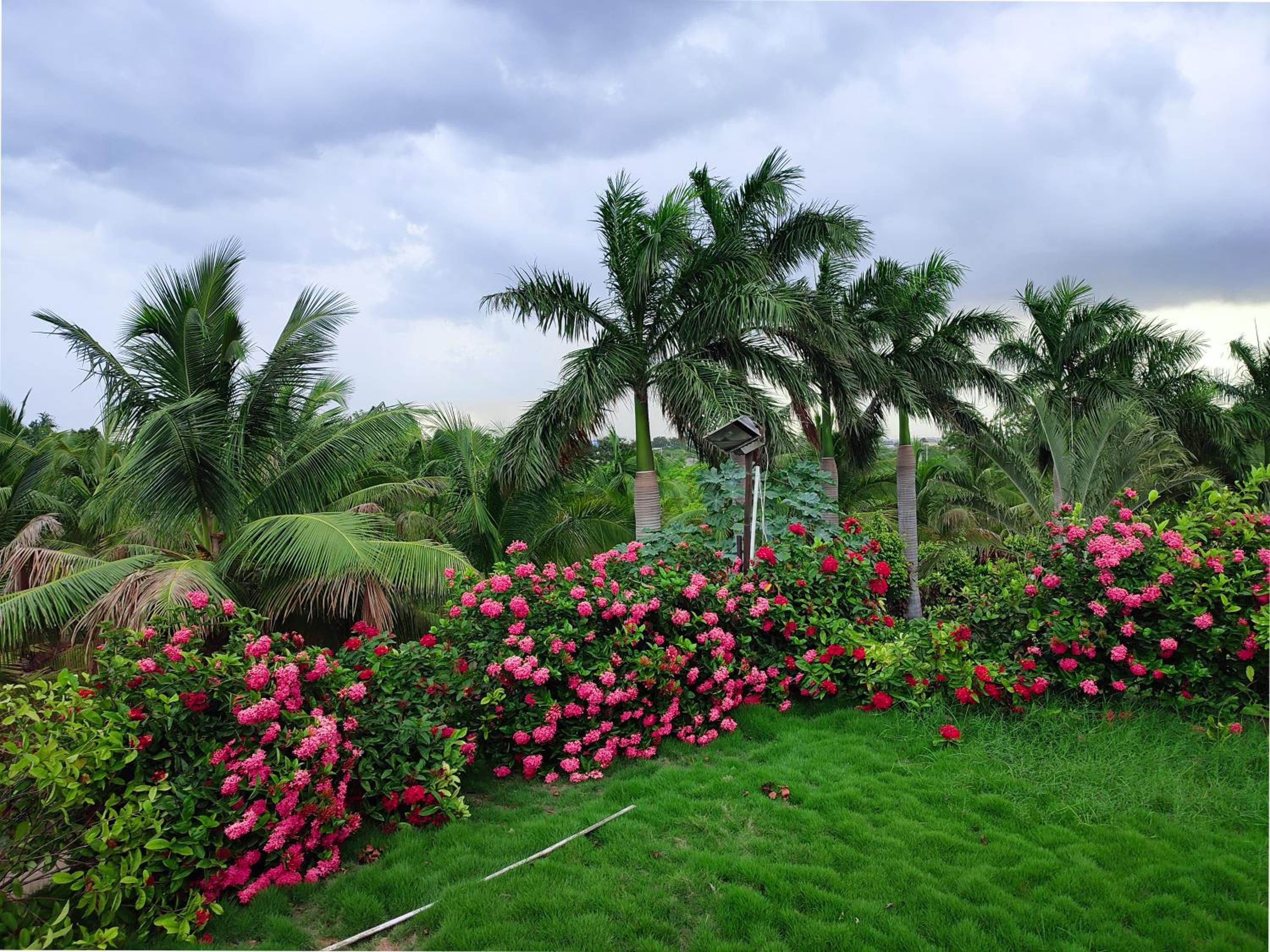 Rajwada Farm Stay view 3