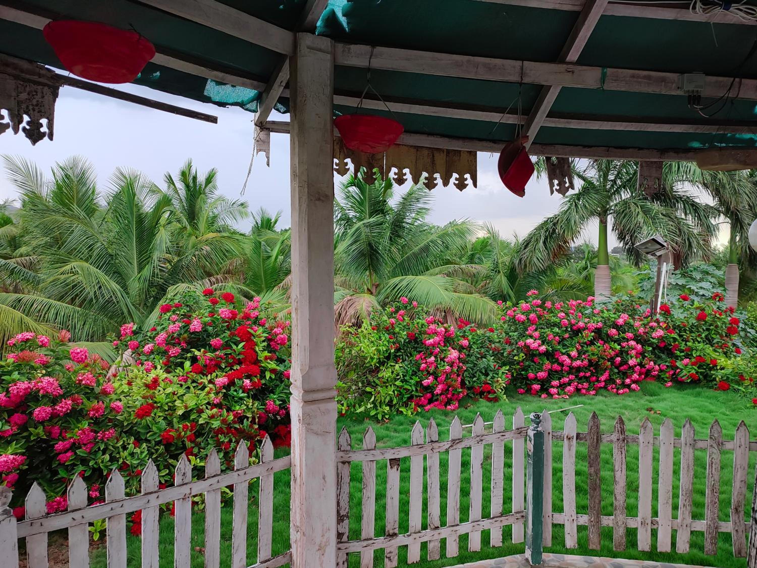 Rajwada Farm Stay view 4