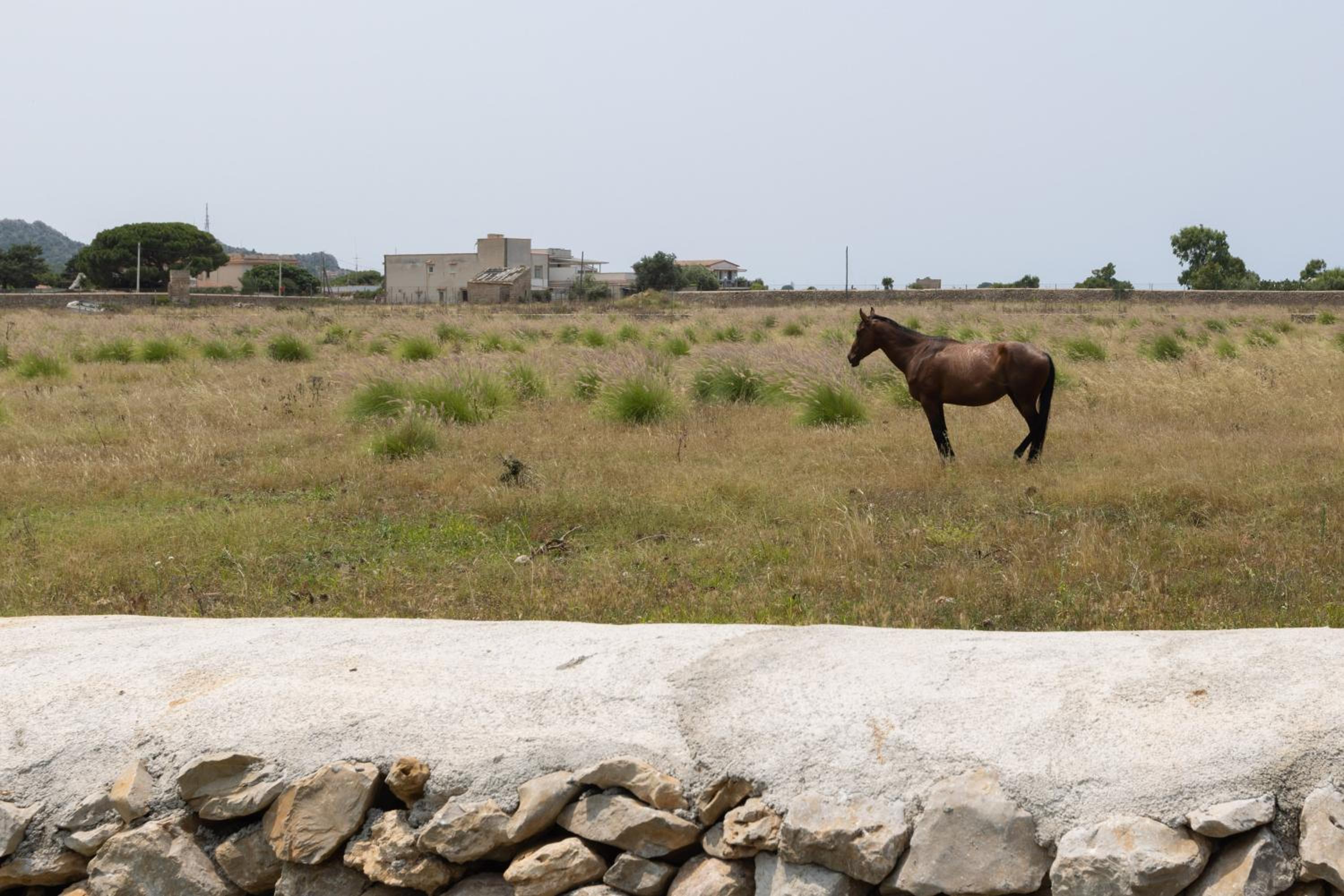 Photo 201