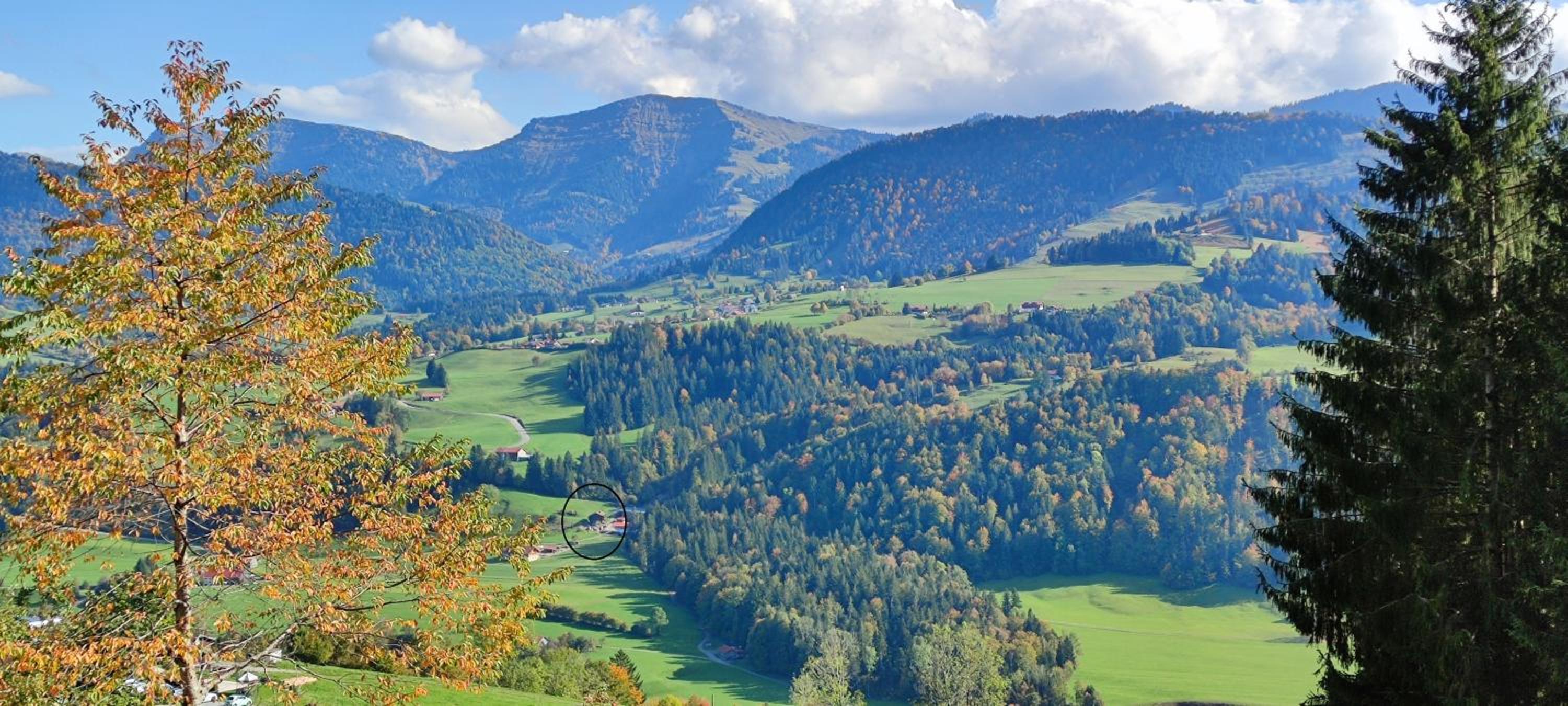 Ferienhaus am Berg