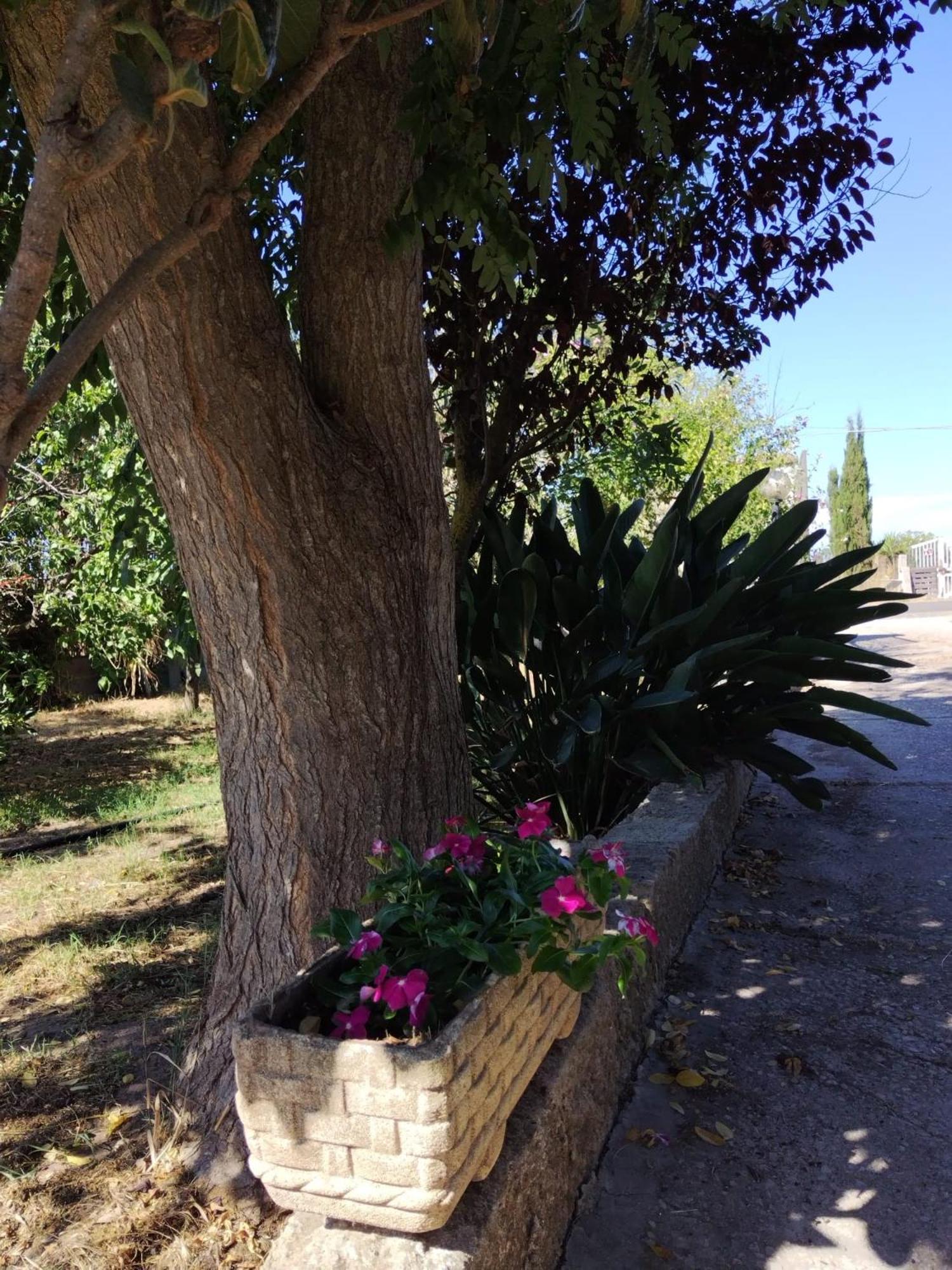 Il Villino