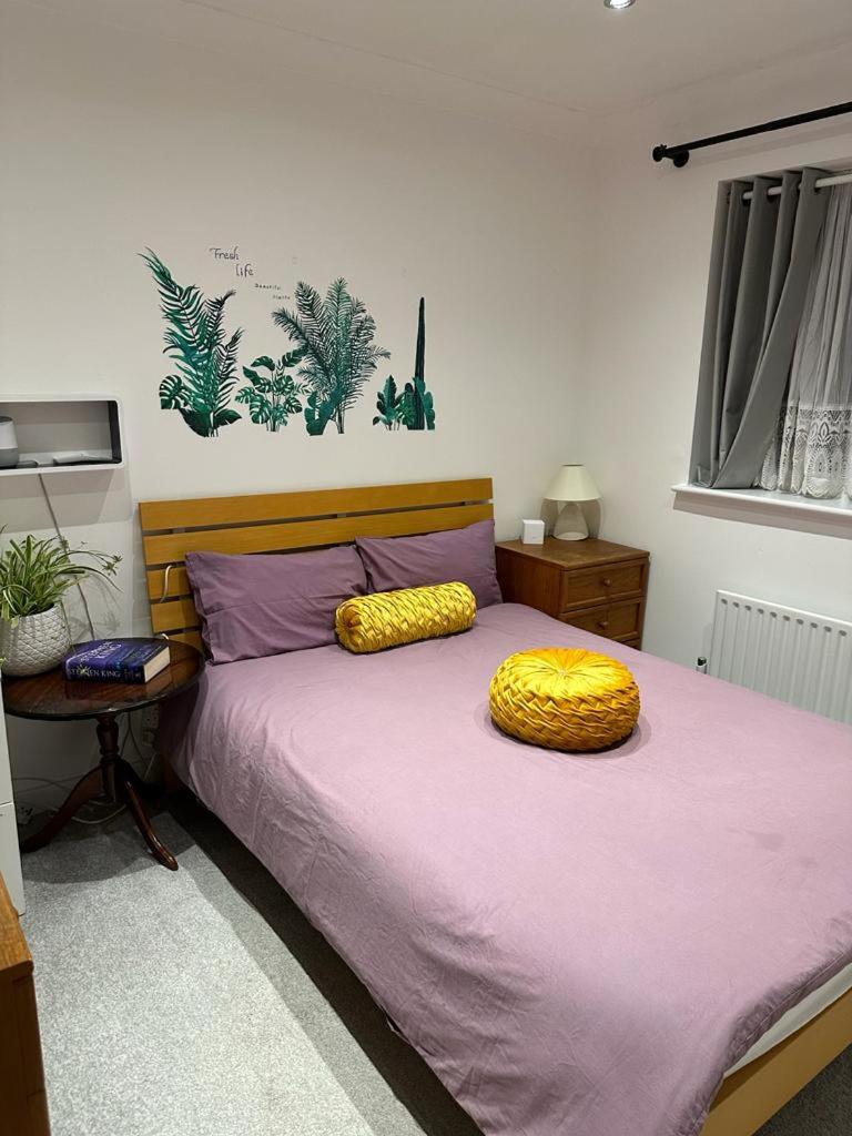 Dreams Home view 2