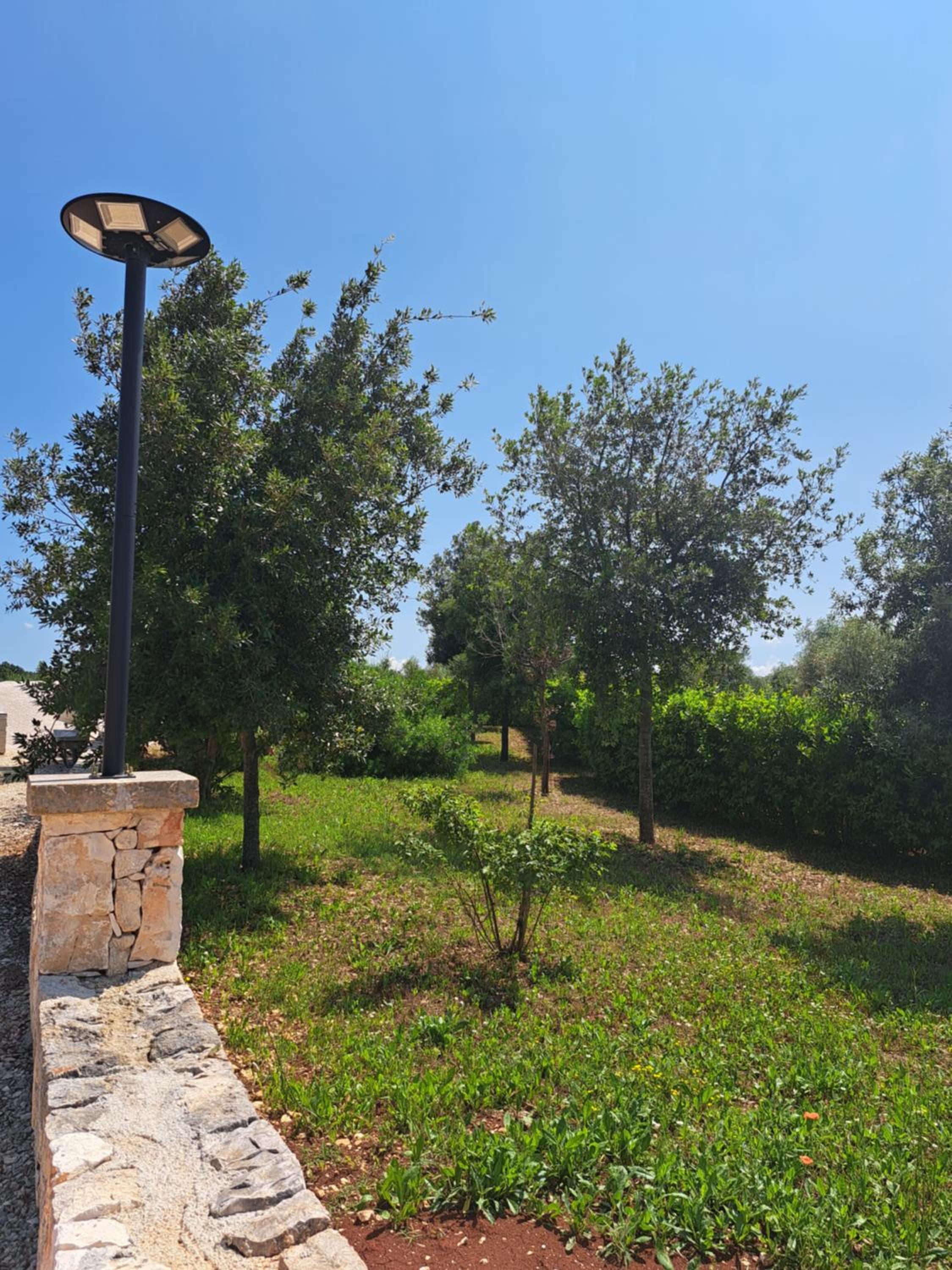 Fogliantica Azienda Agrituristica