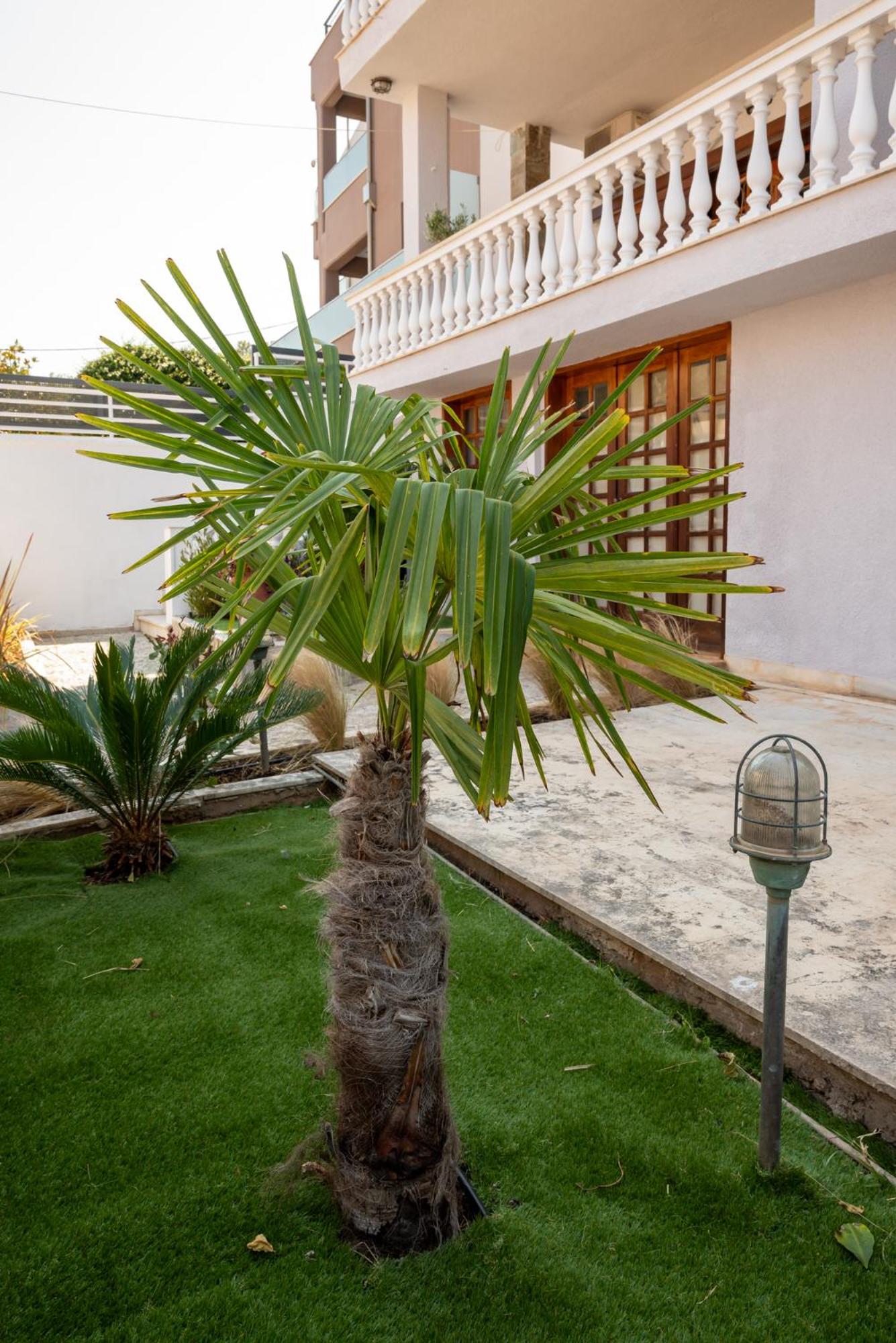 ELMAR Sea & Sun view 5