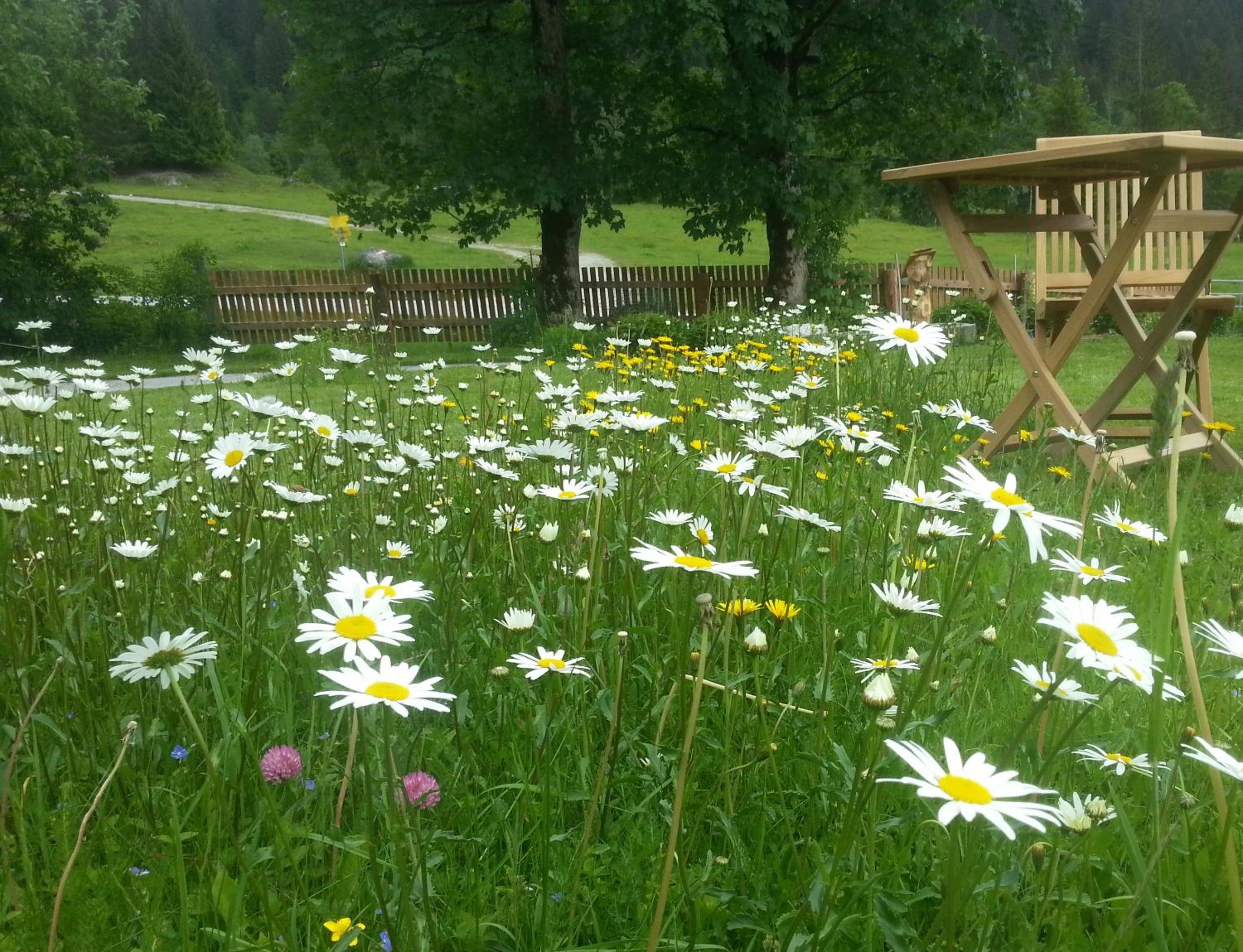 Bio-Bauernhof Vorderfromm